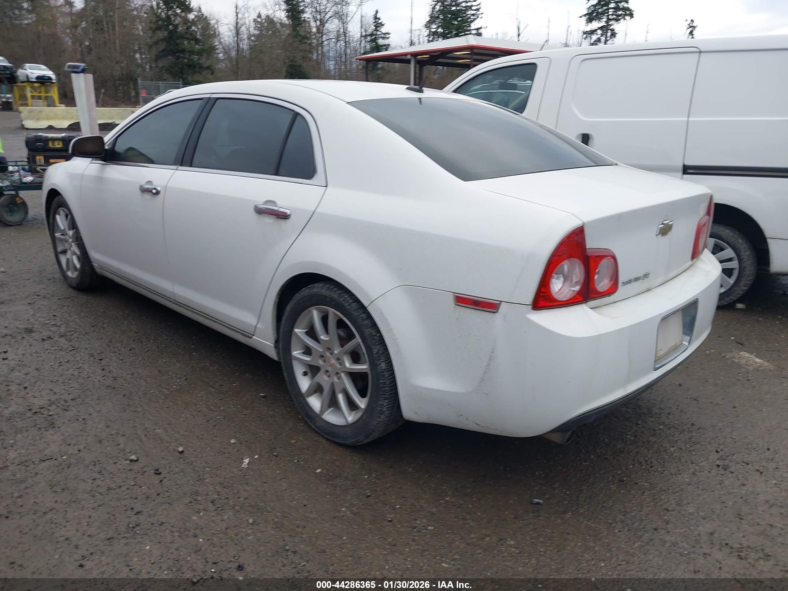CHEVROLET MALIBU image 3