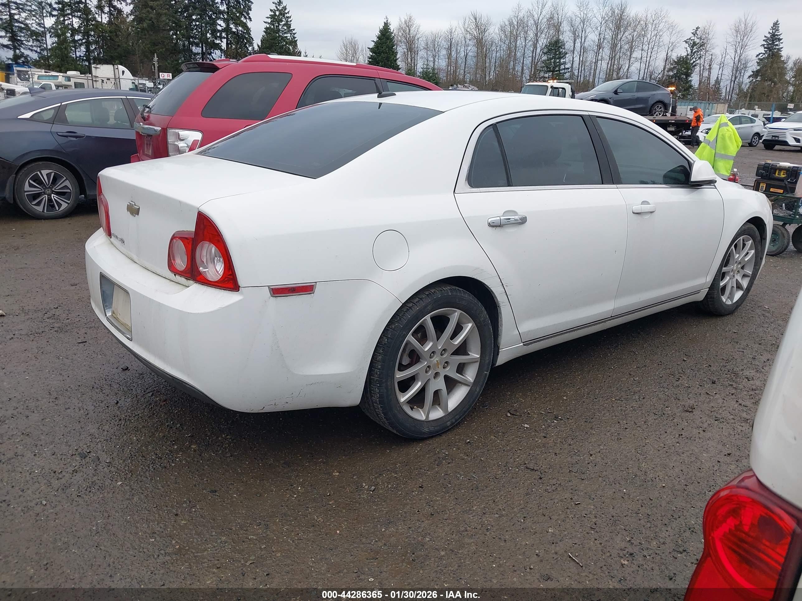 CHEVROLET MALIBU image 4