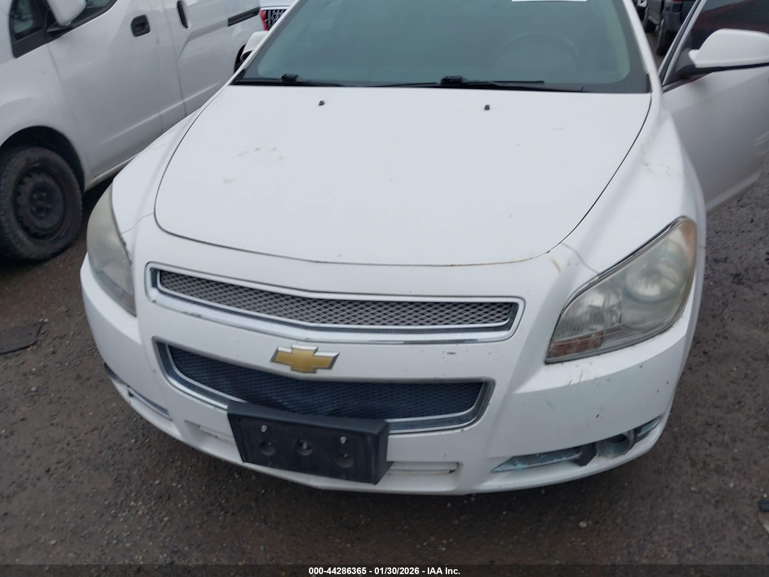 CHEVROLET MALIBU image 6