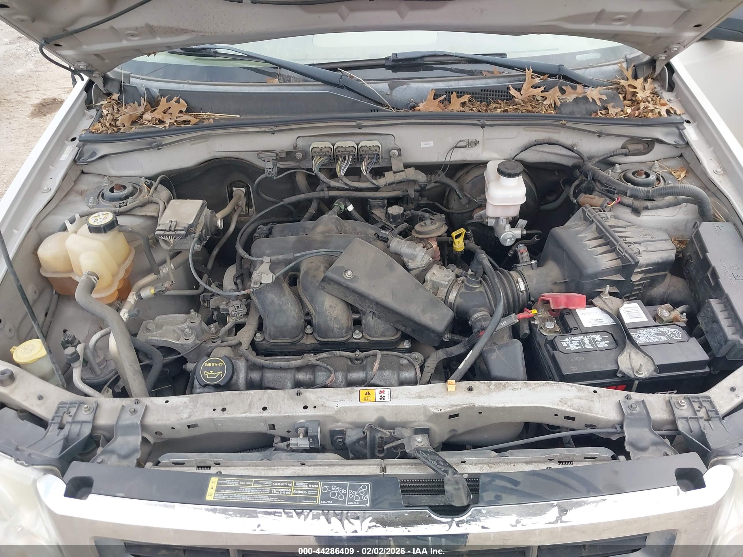FORD ESCAPE image 10
