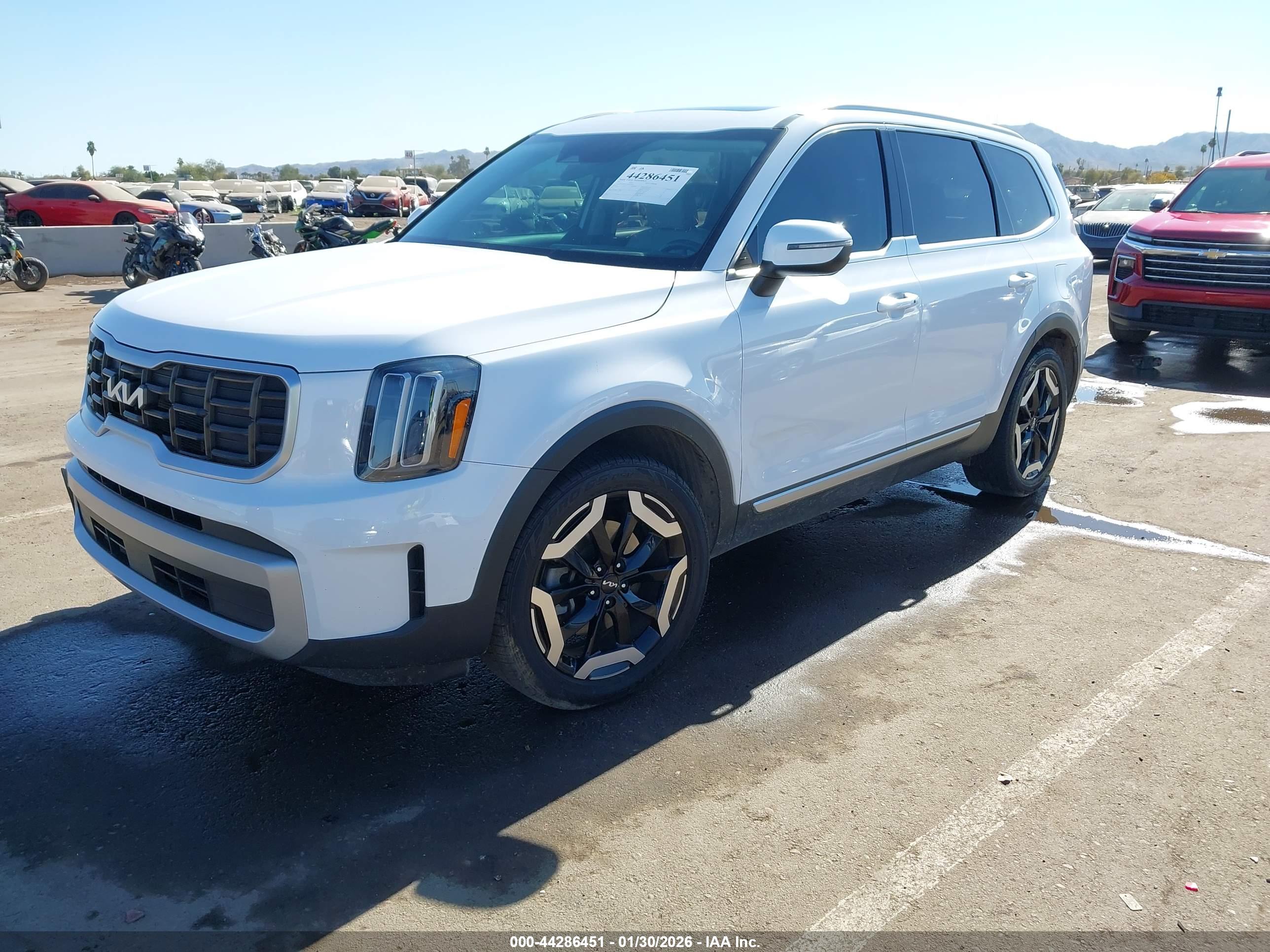 KIA TELLURIDE image 2