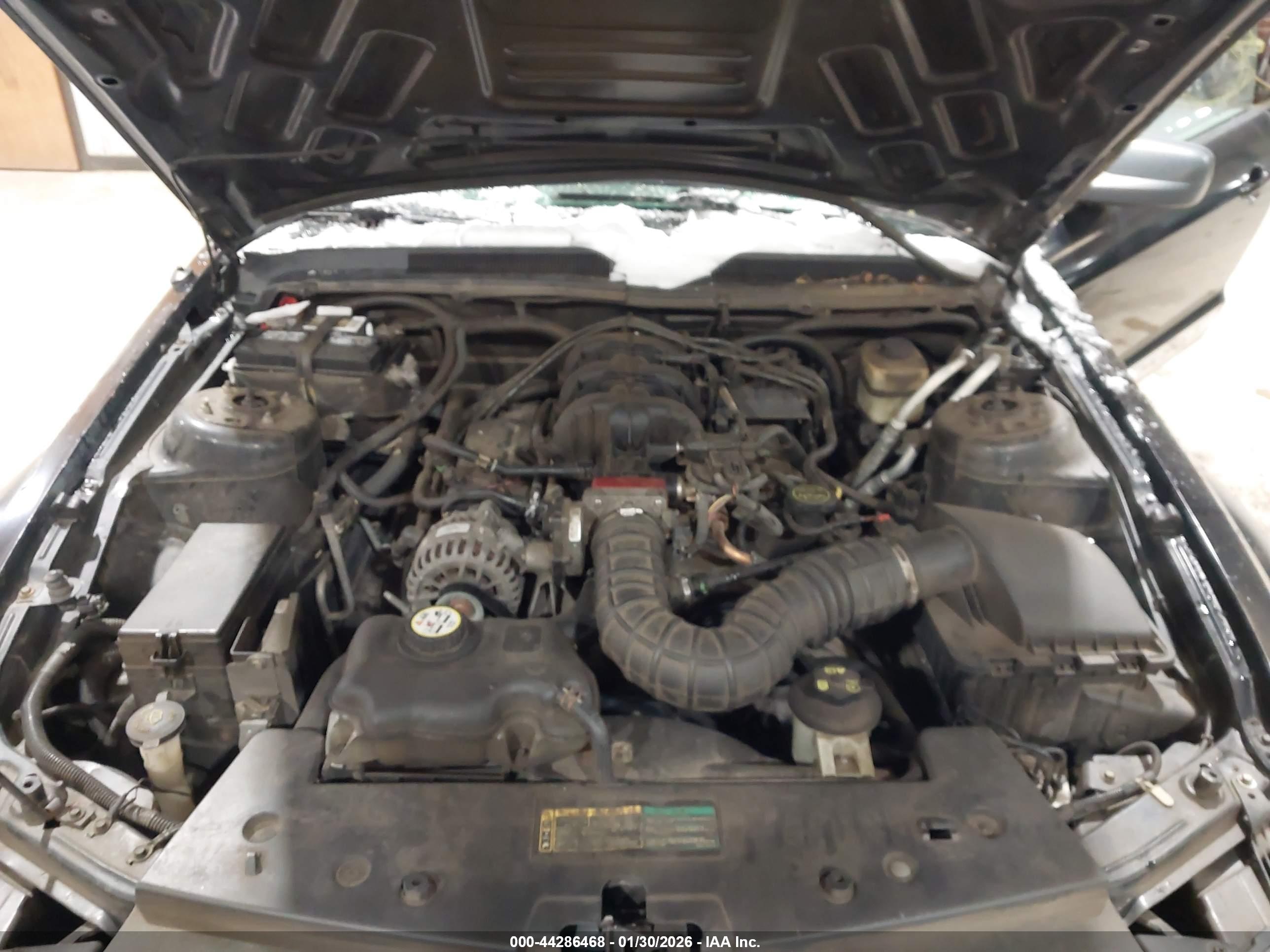 FORD MUSTANG image 10
