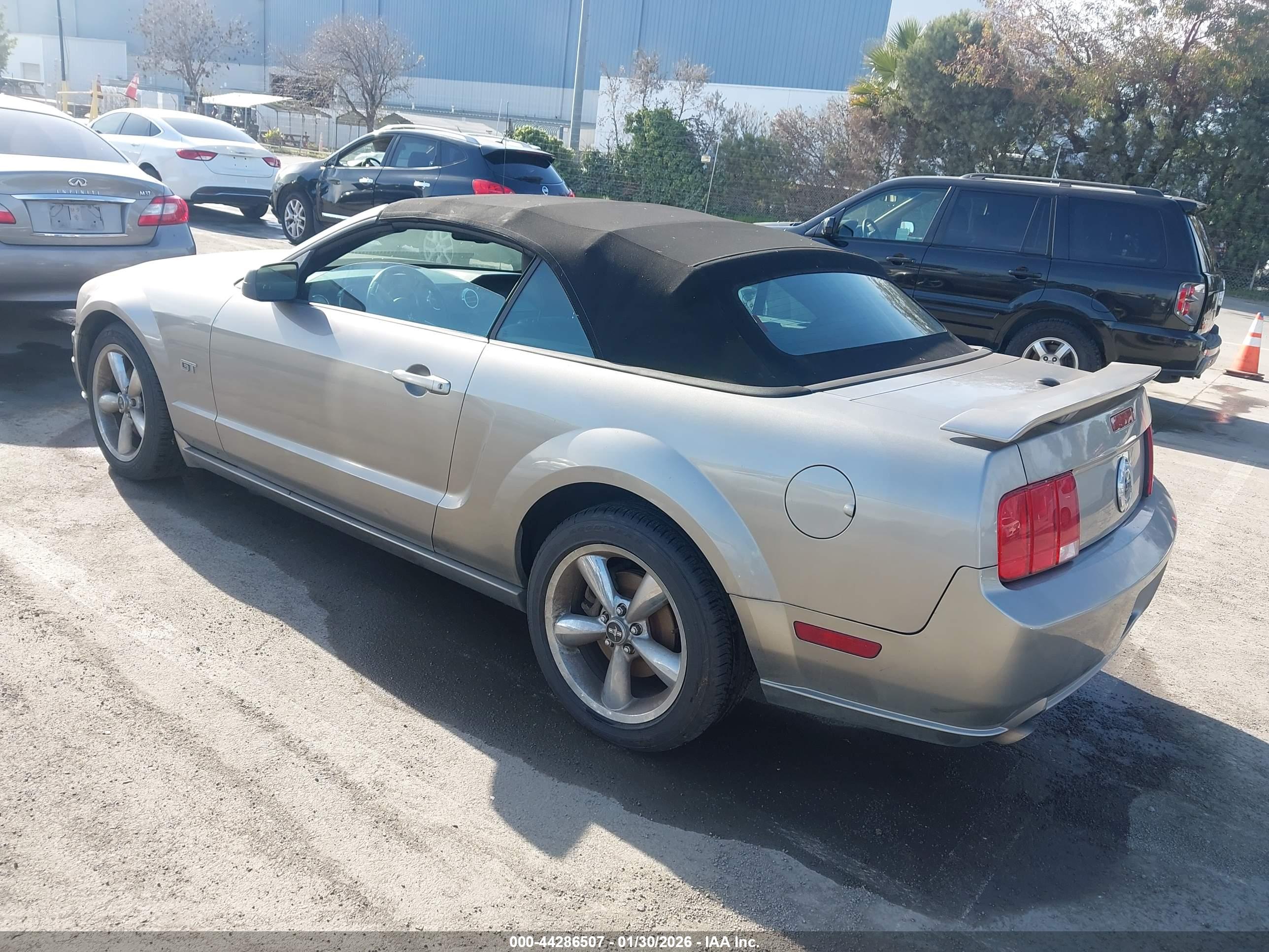 FORD MUSTANG image 3