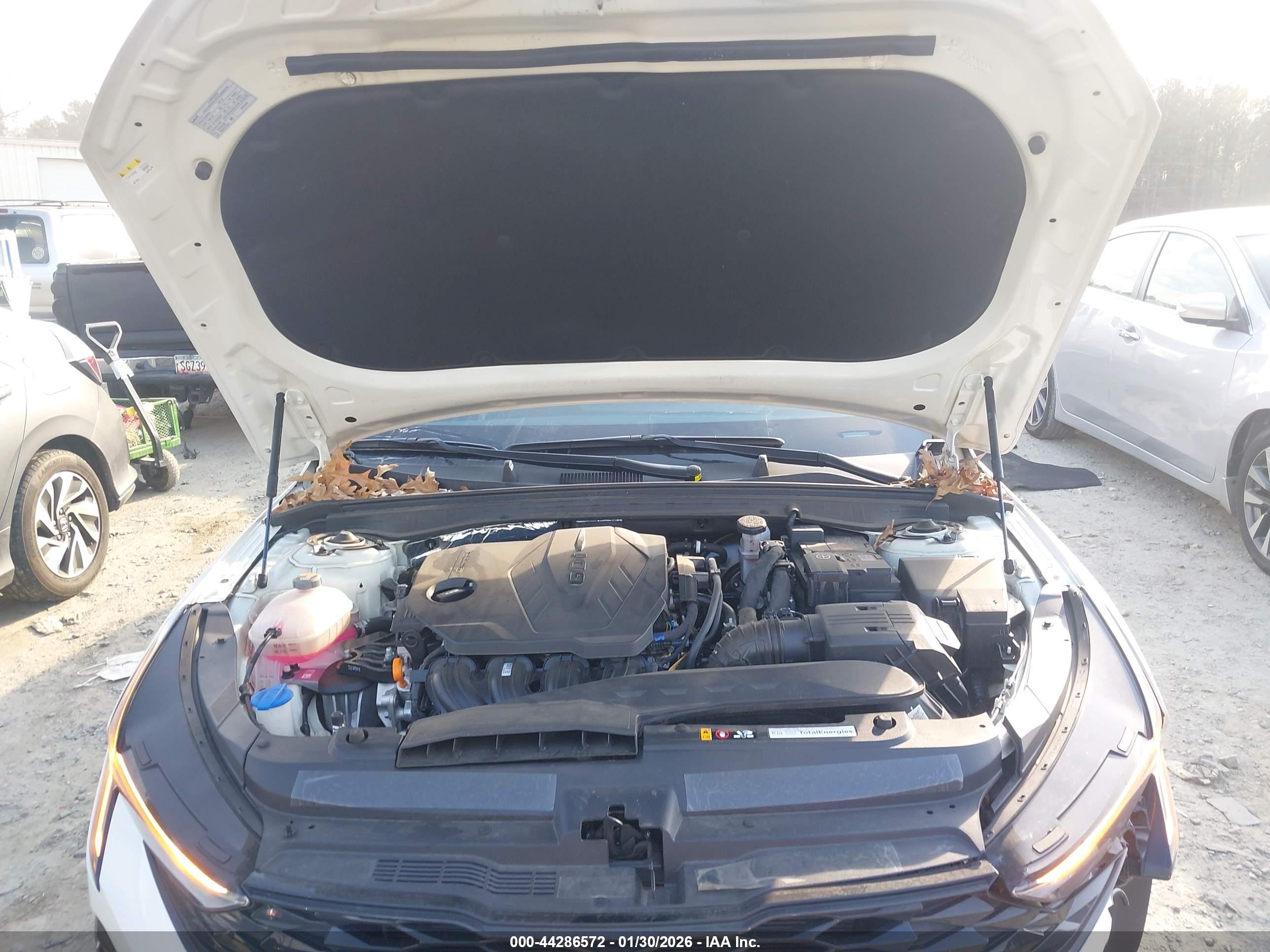 KIA K5 image 10