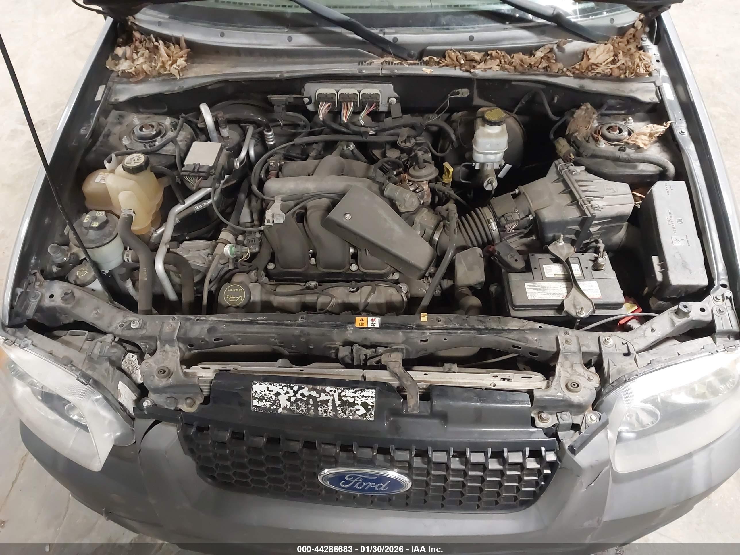 FORD ESCAPE image 10