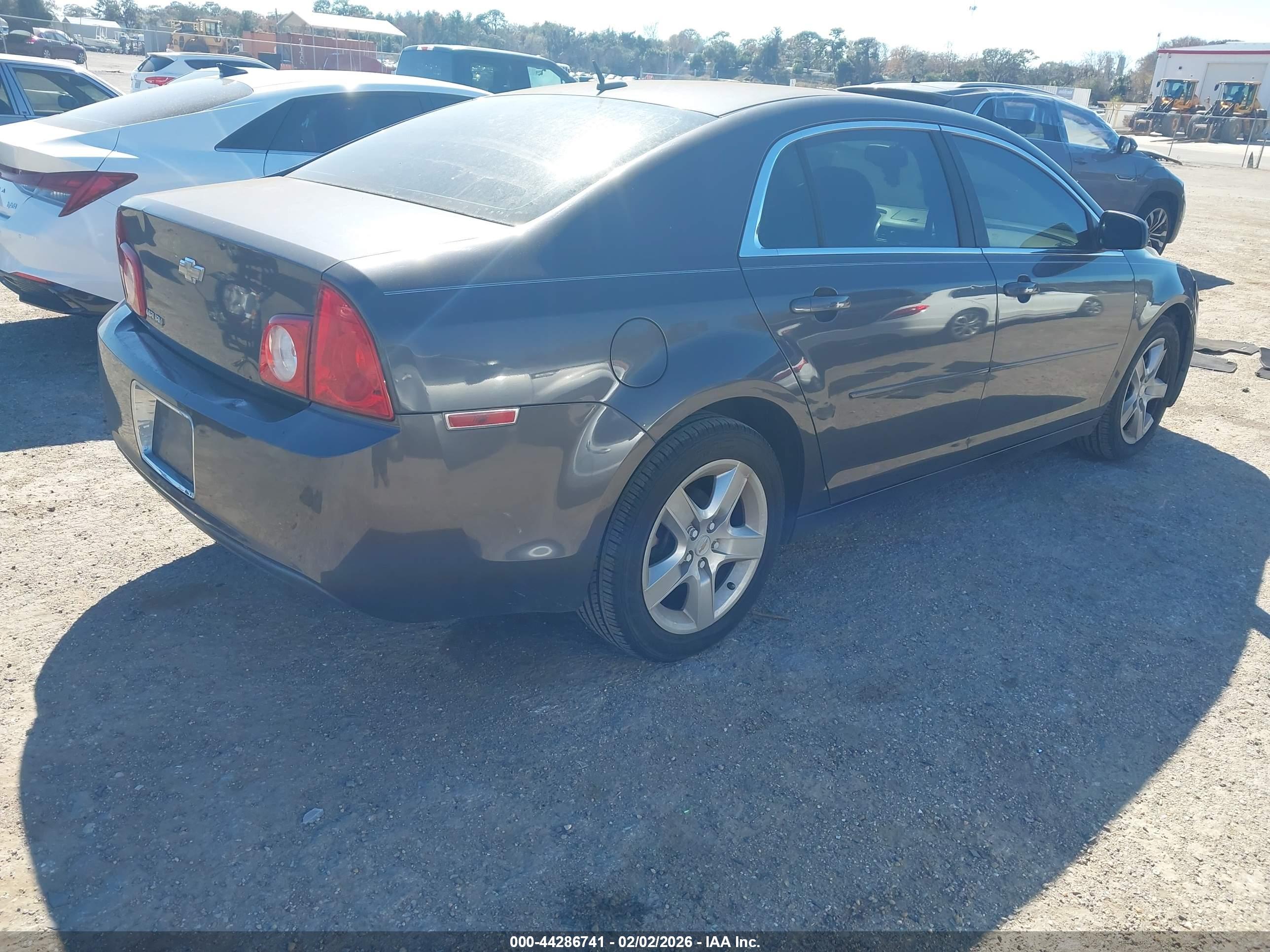 CHEVROLET MALIBU image 4