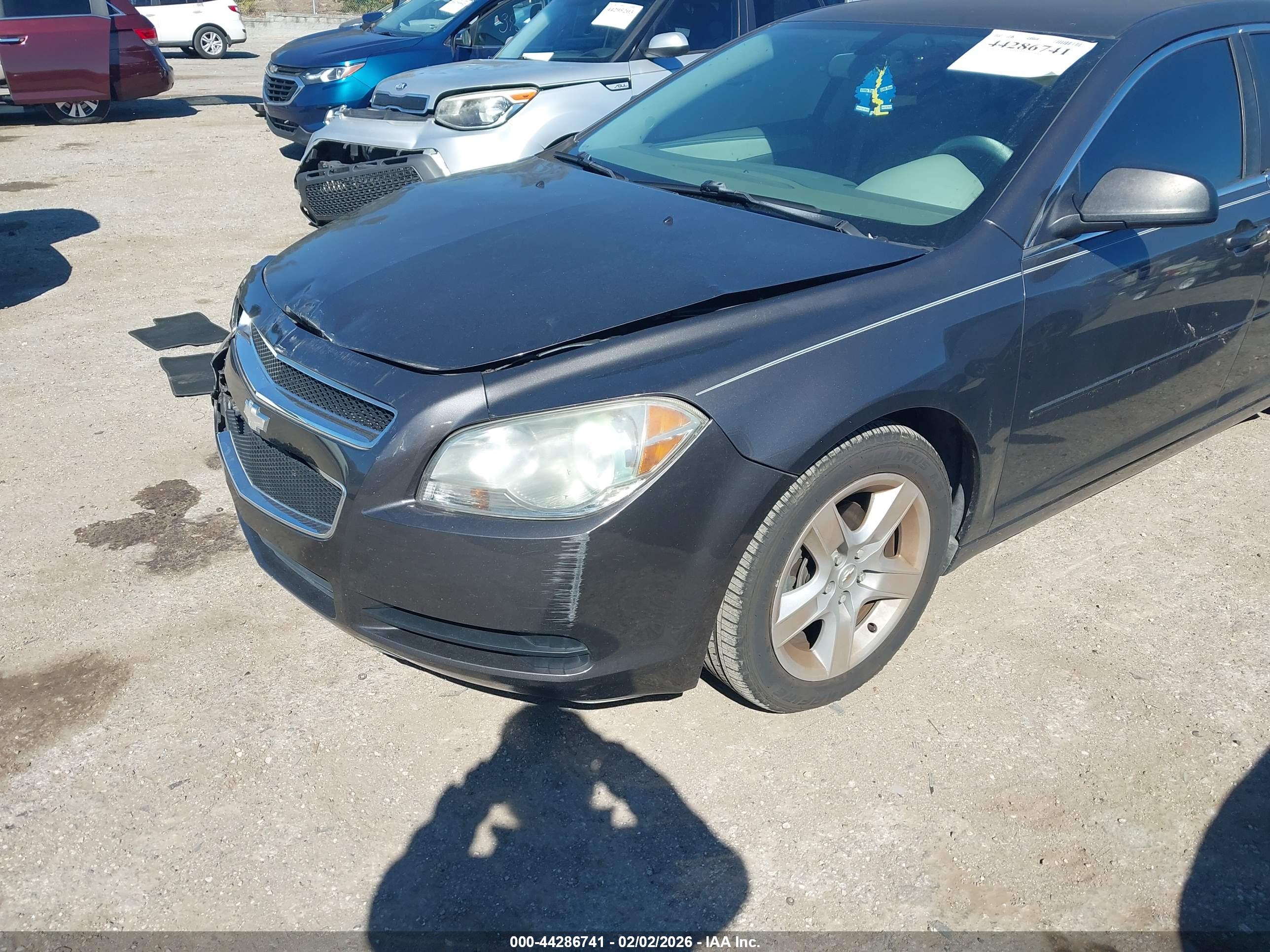 CHEVROLET MALIBU image 6