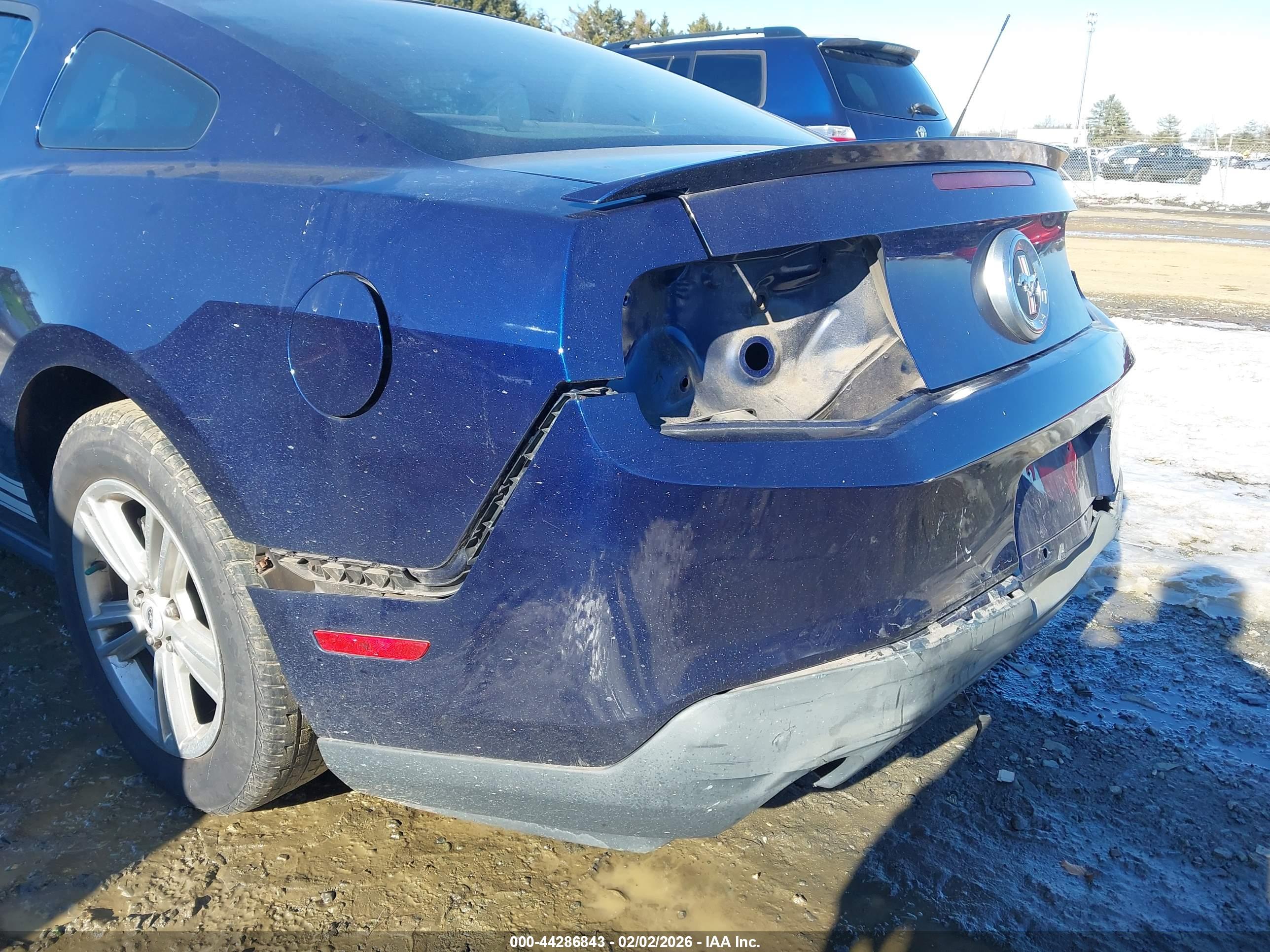 FORD MUSTANG image 6