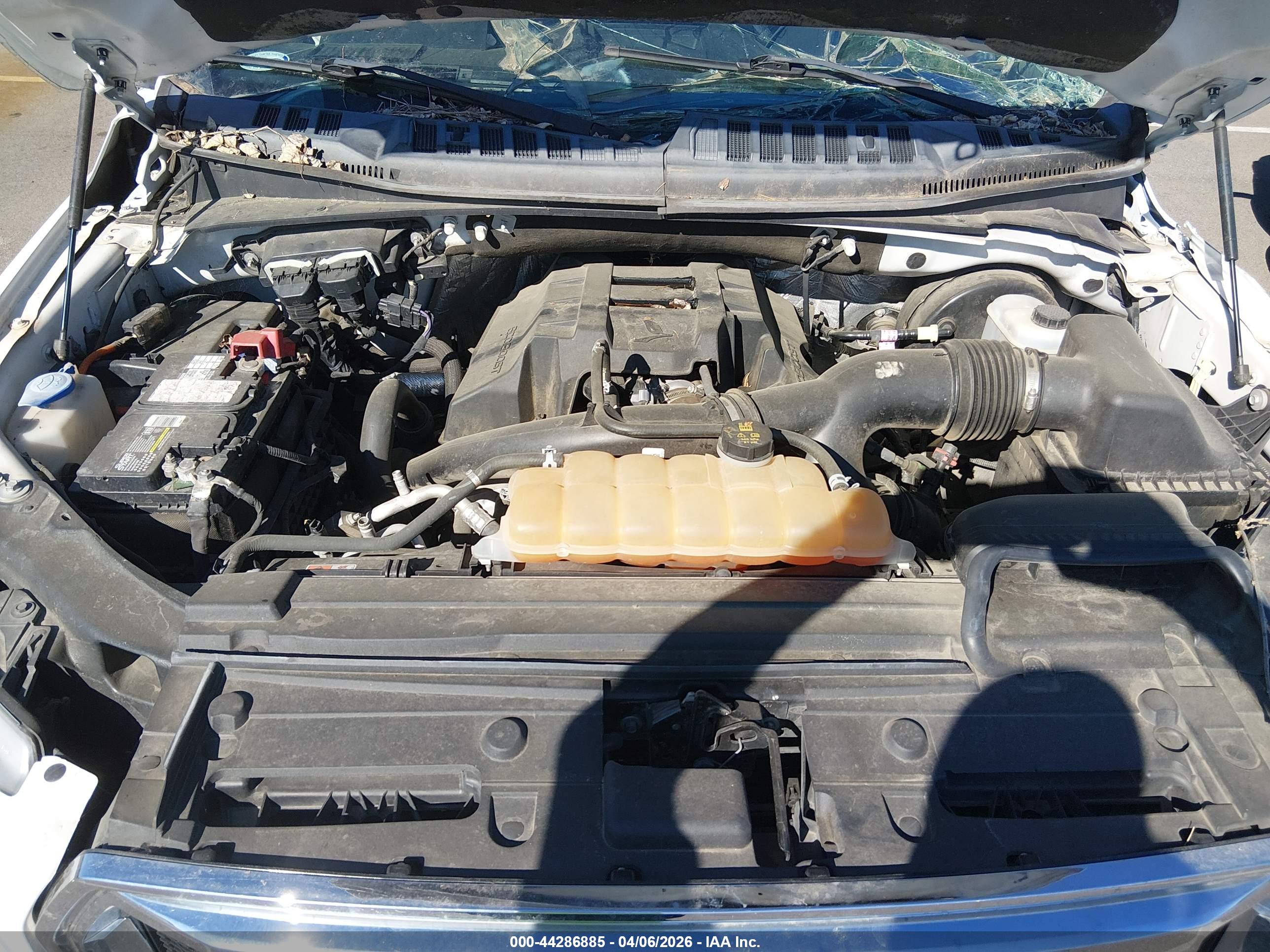 FORD F-150 image 10