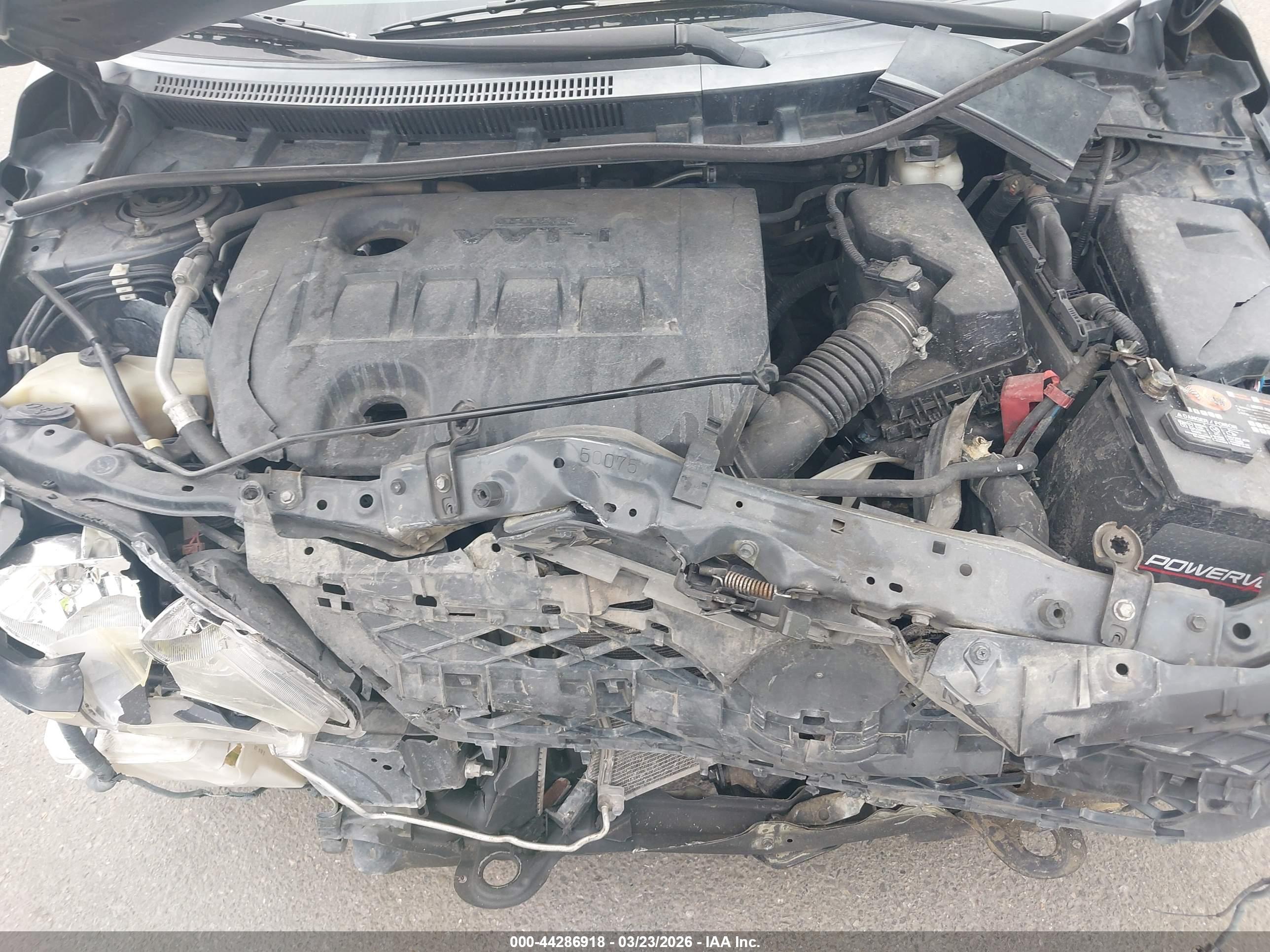 TOYOTA COROLLA image 10