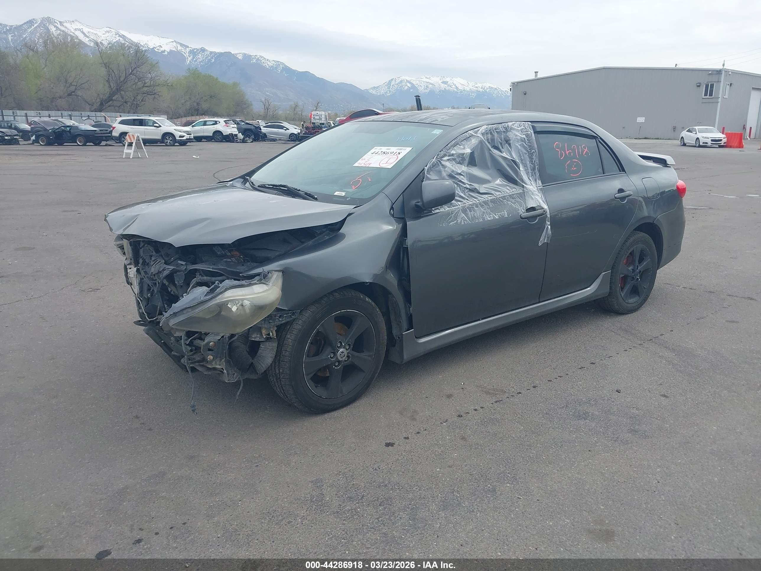 TOYOTA COROLLA image 2