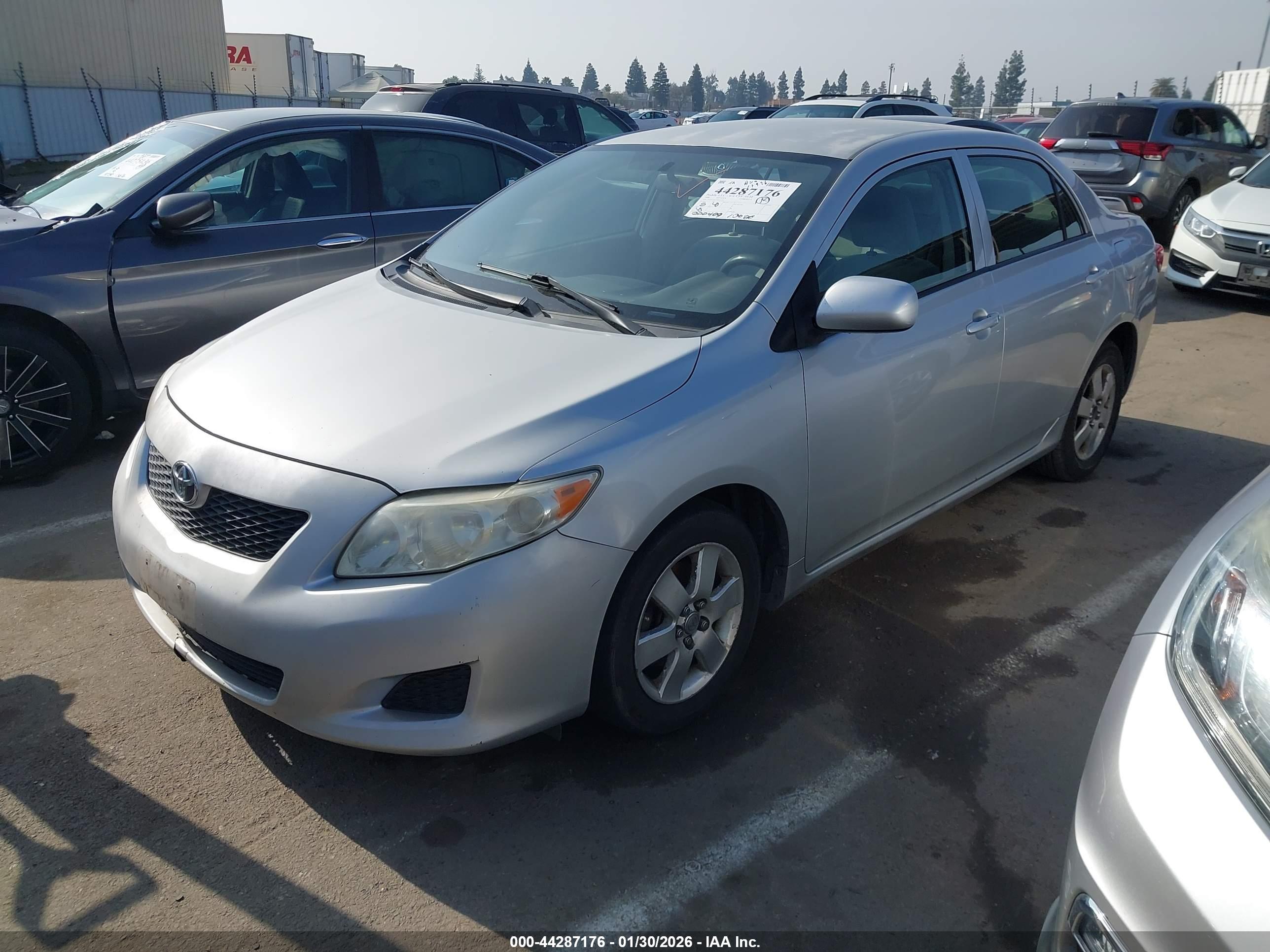 TOYOTA COROLLA image 2