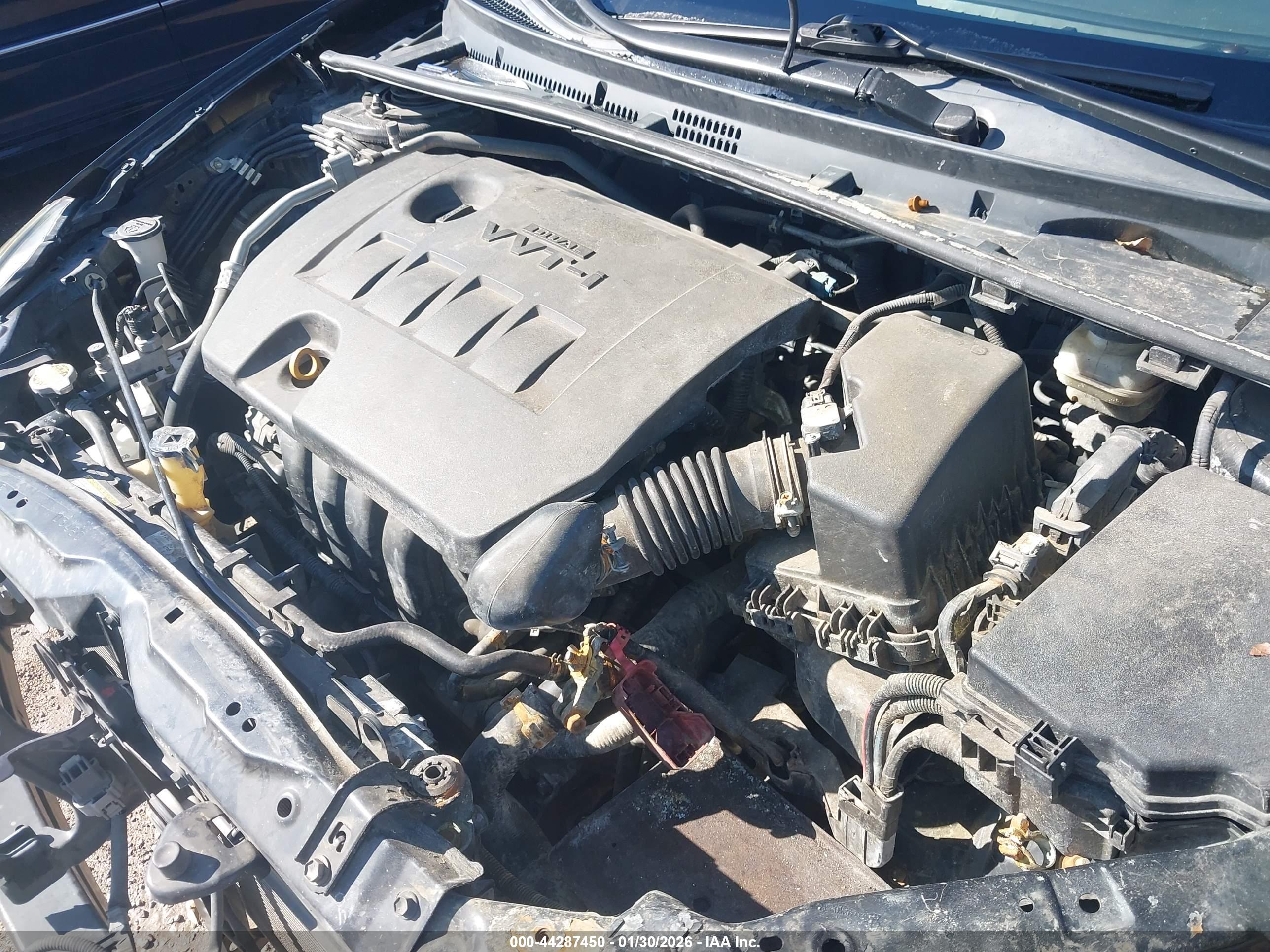 TOYOTA COROLLA image 10