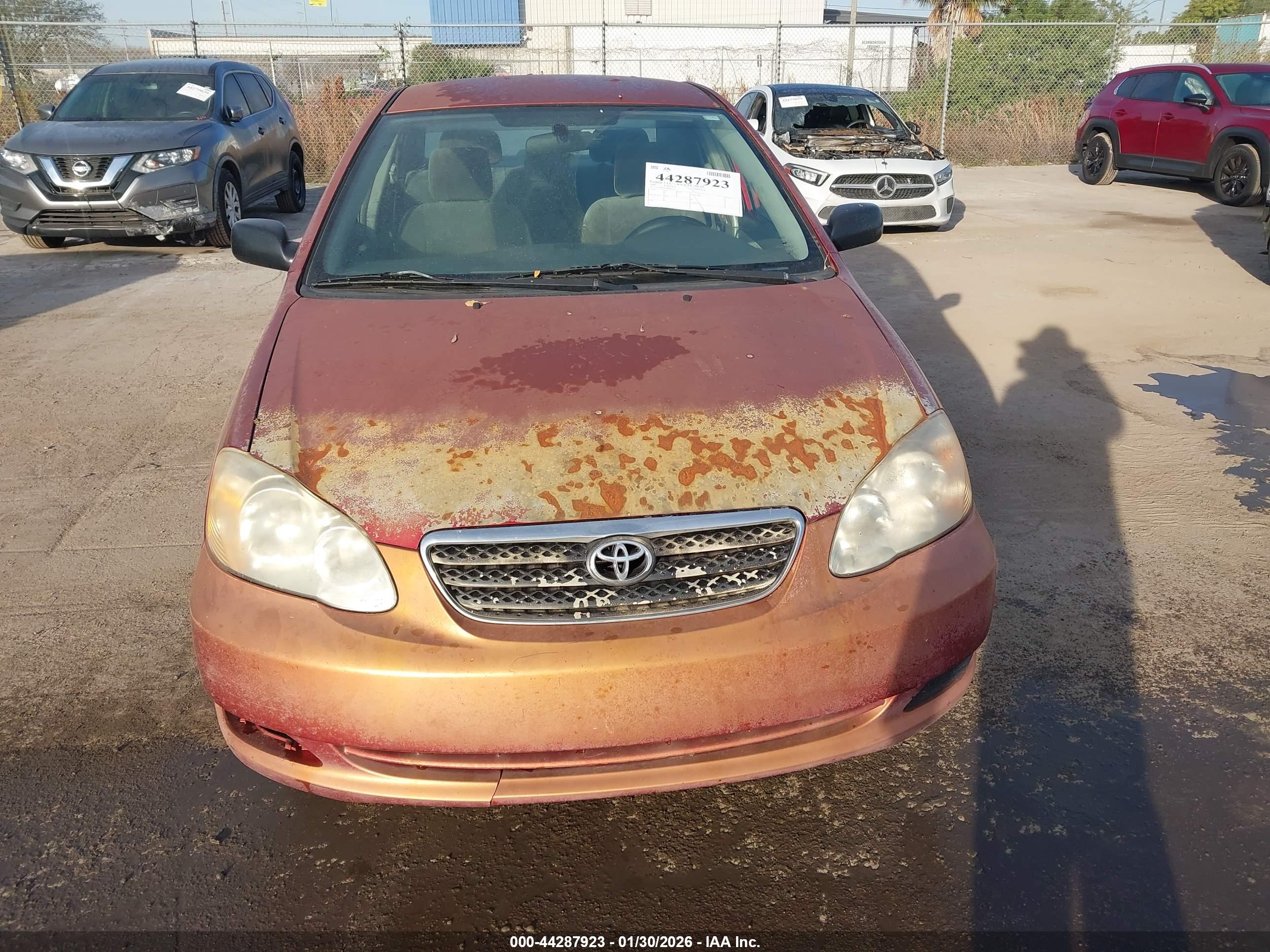 TOYOTA COROLLA image 6