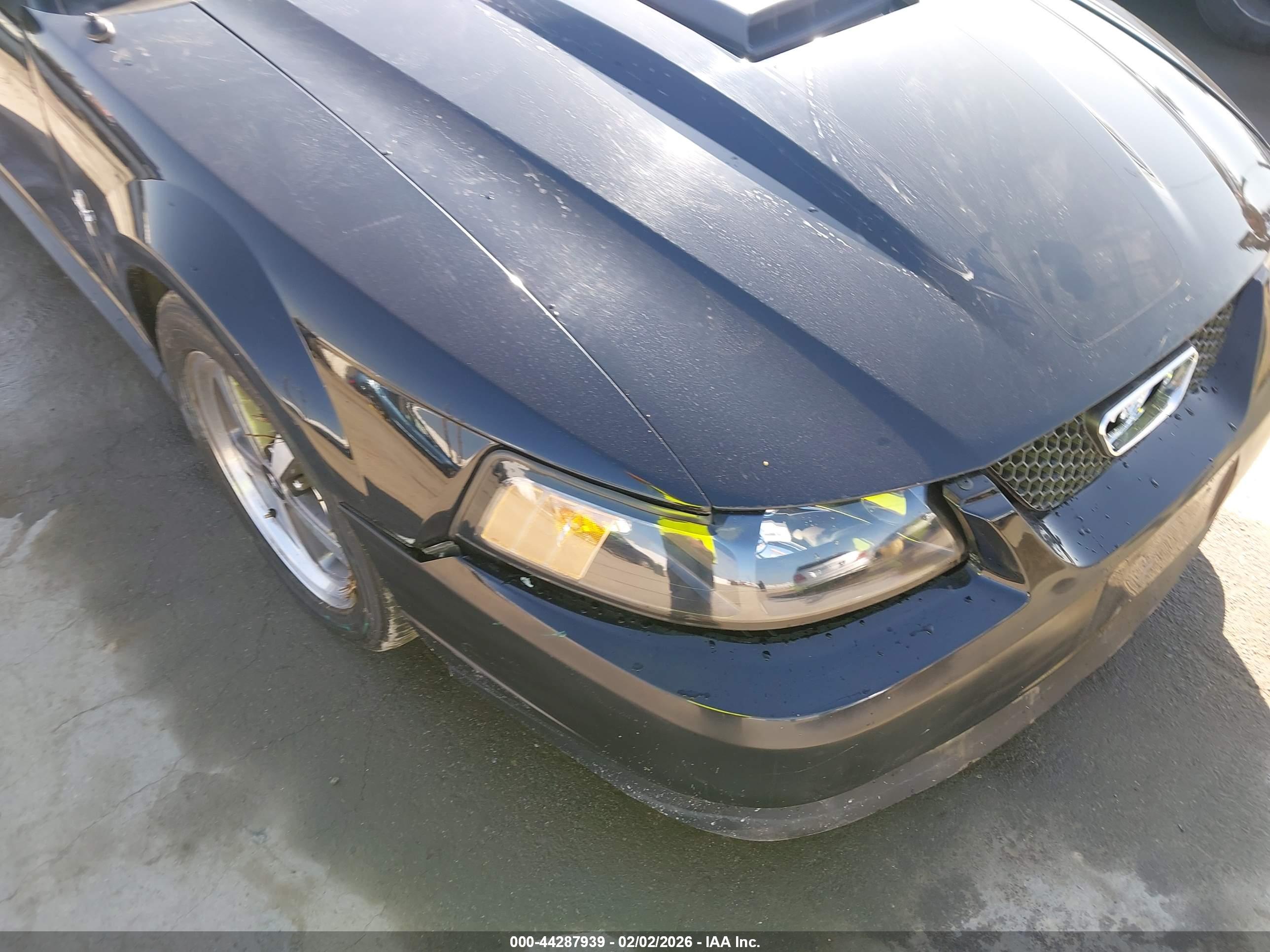FORD MUSTANG image 6