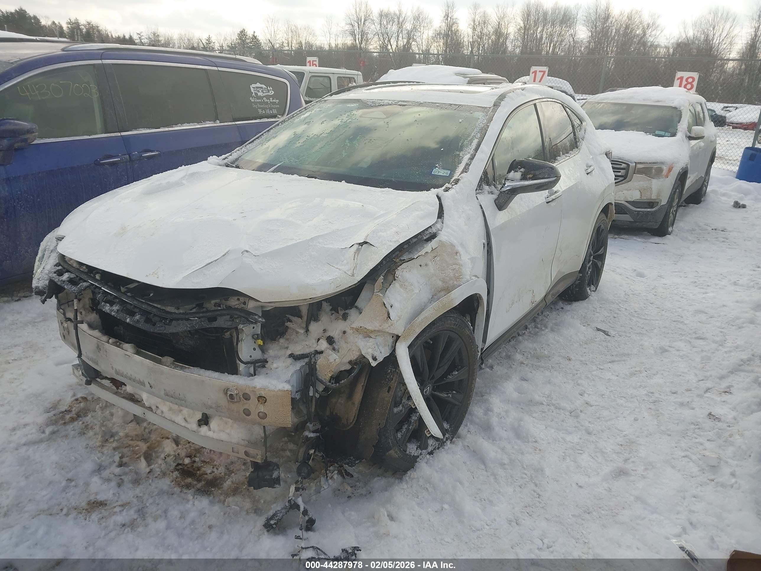 LEXUS NX image 2