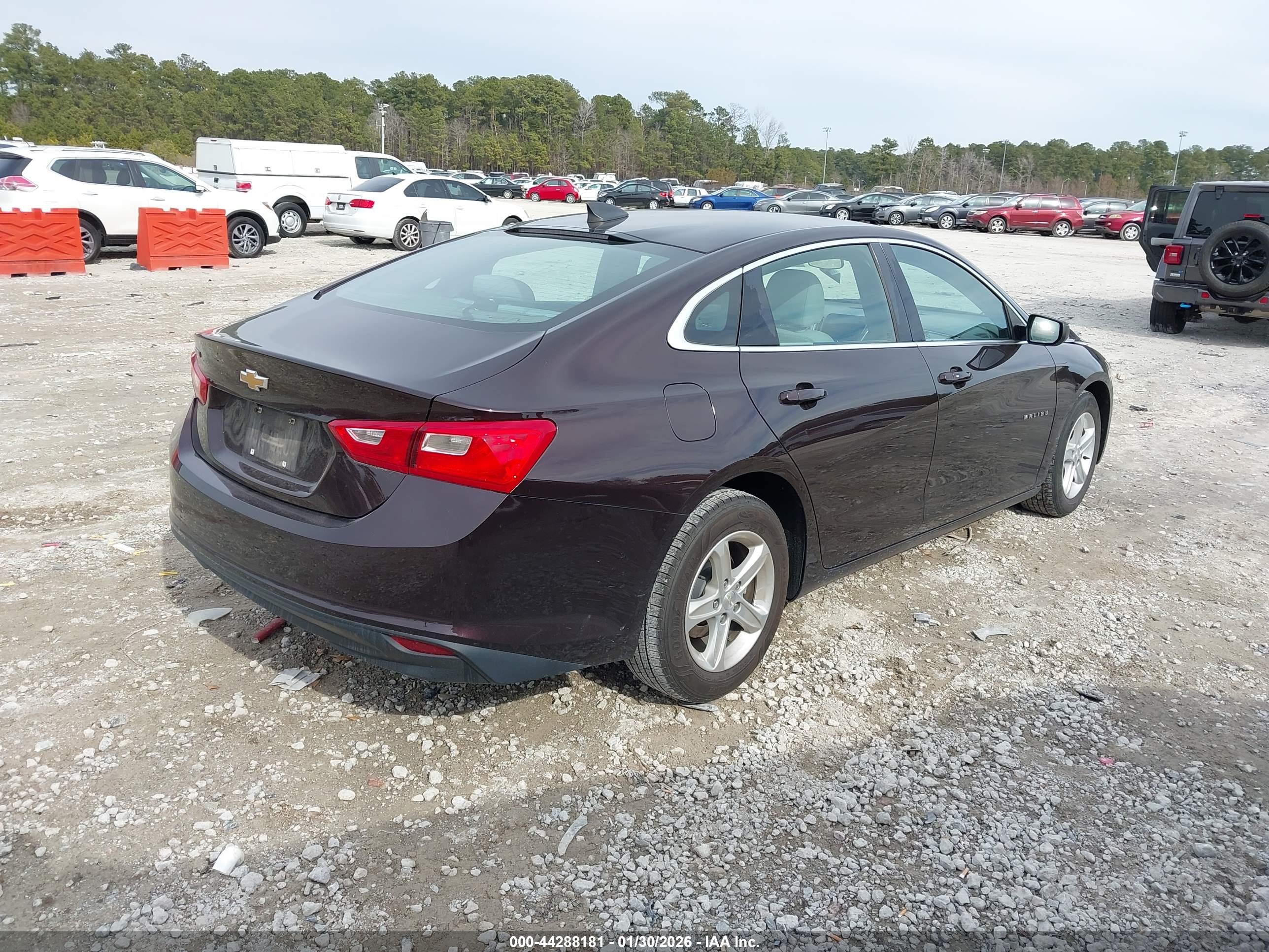 CHEVROLET MALIBU image 4