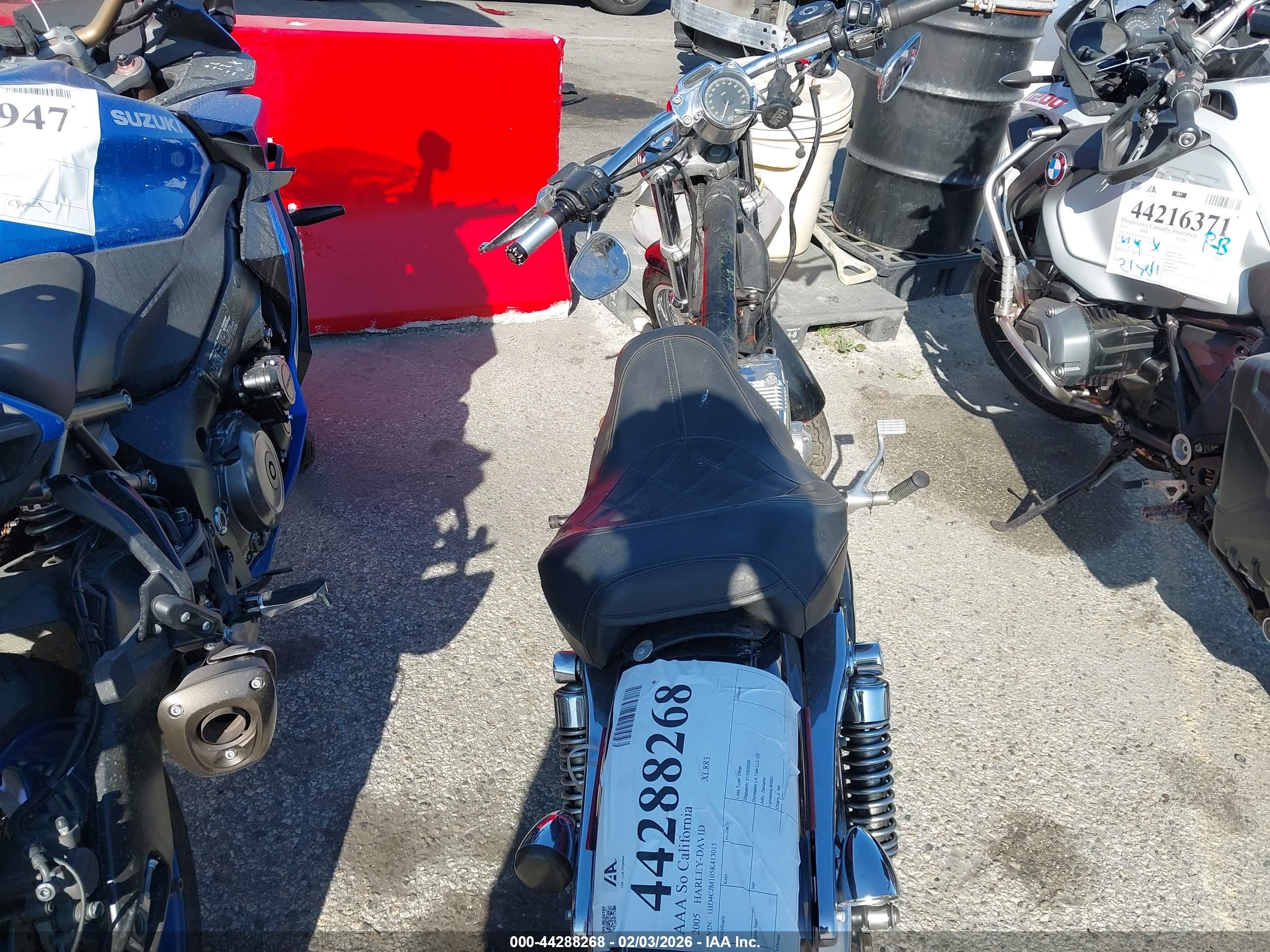 HARLEY-DAVIDSON XL883 image 6