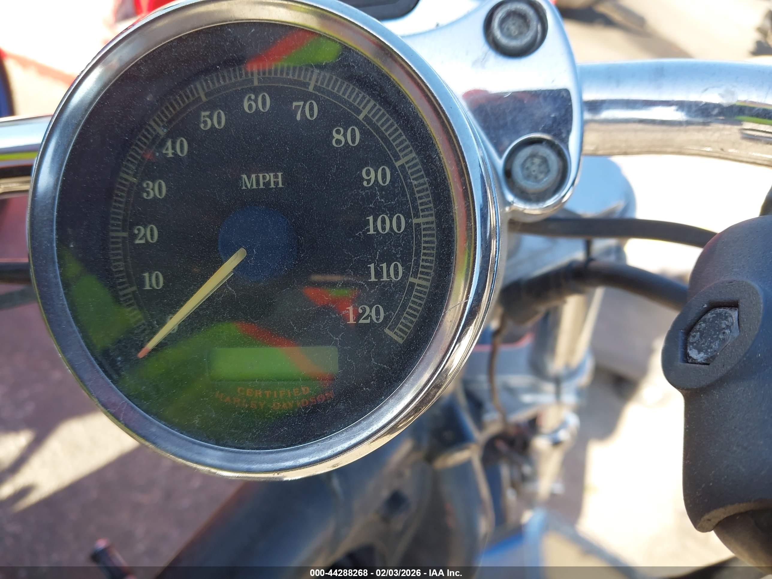 HARLEY-DAVIDSON XL883 image 7