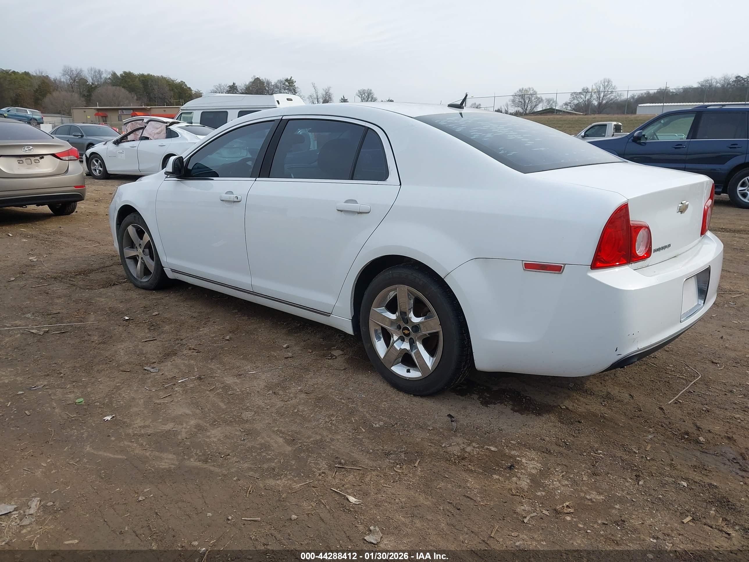 CHEVROLET MALIBU image 3