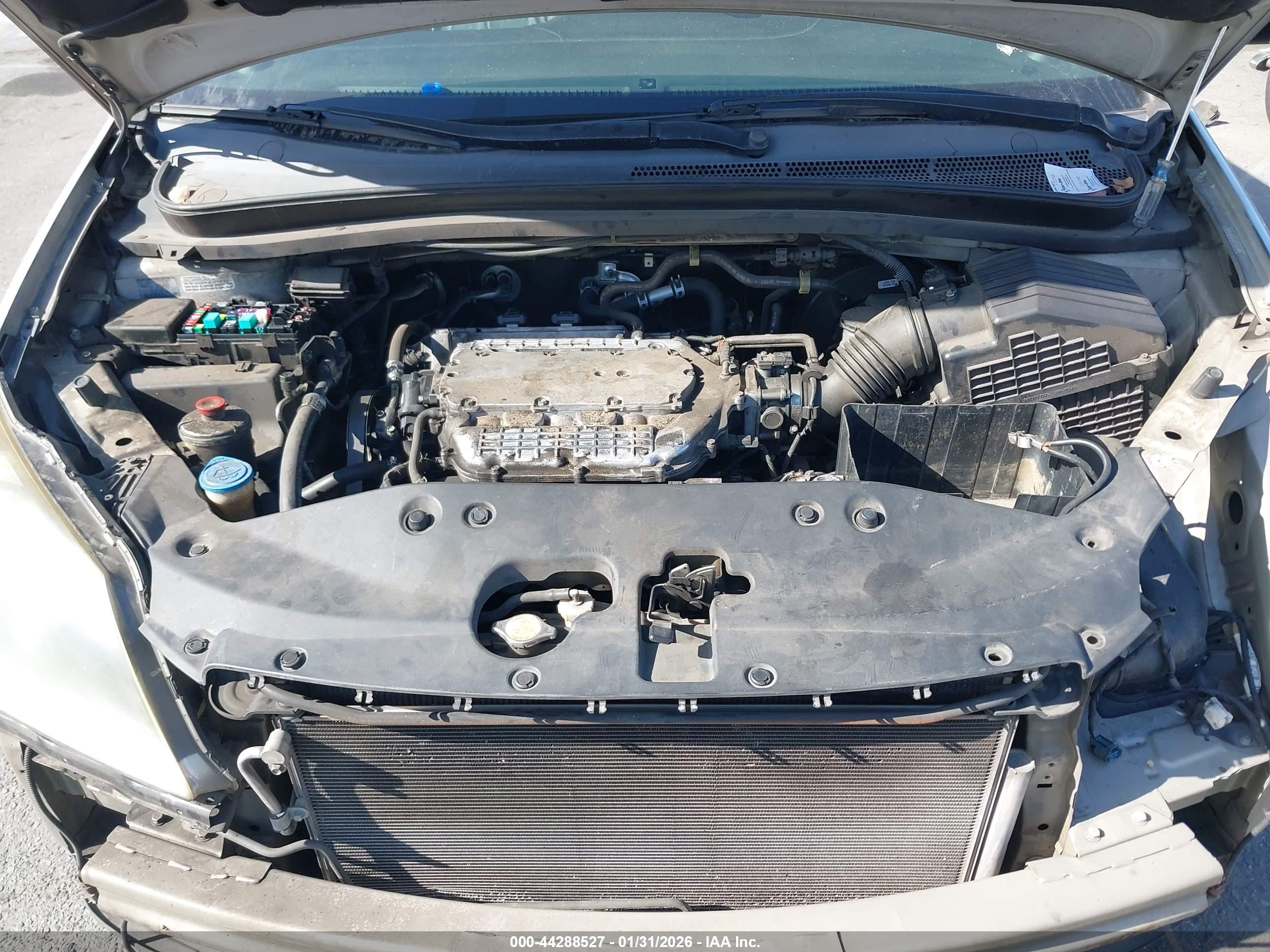 HONDA ODYSSEY image 10