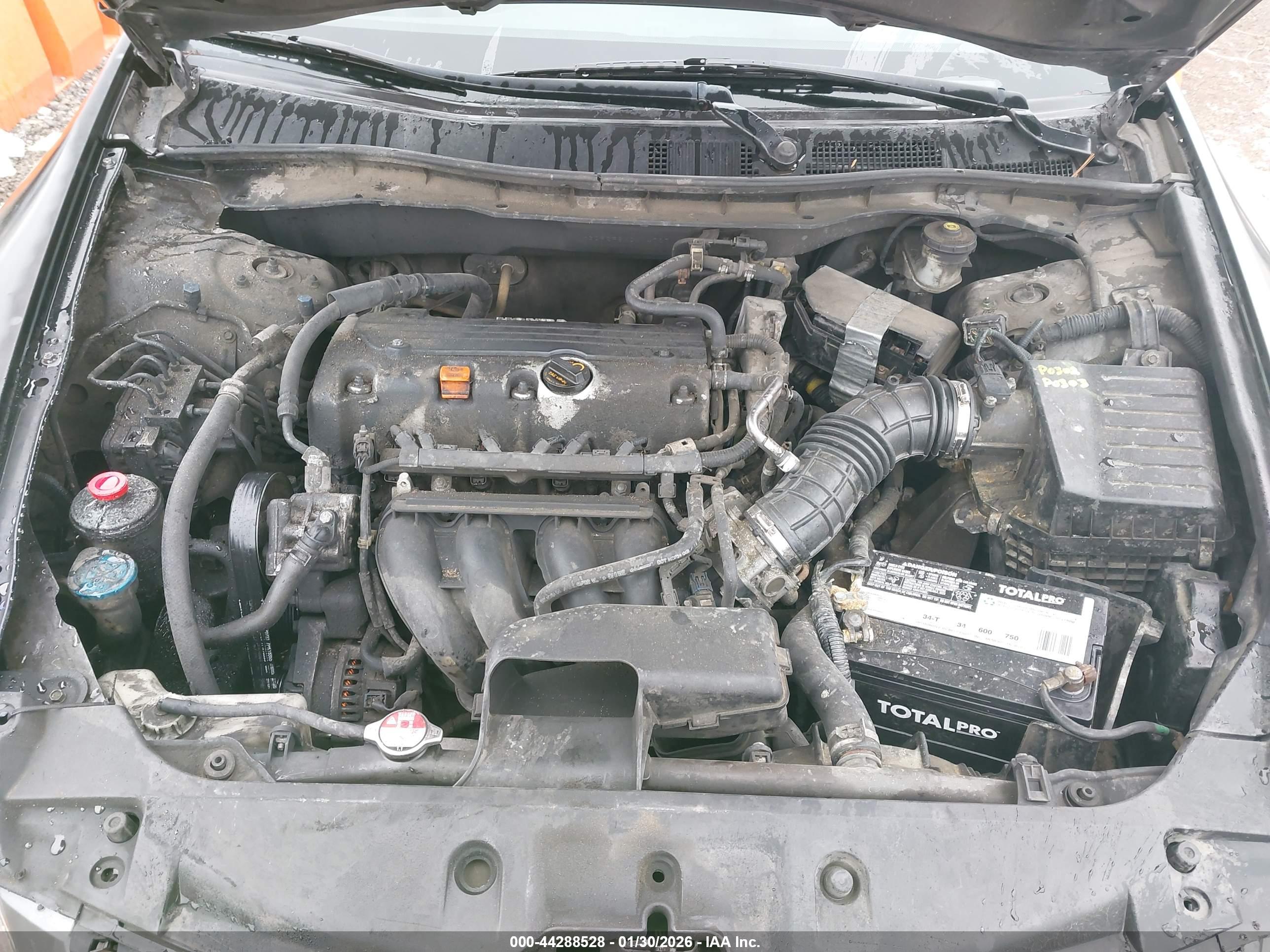 HONDA ACCORD image 10