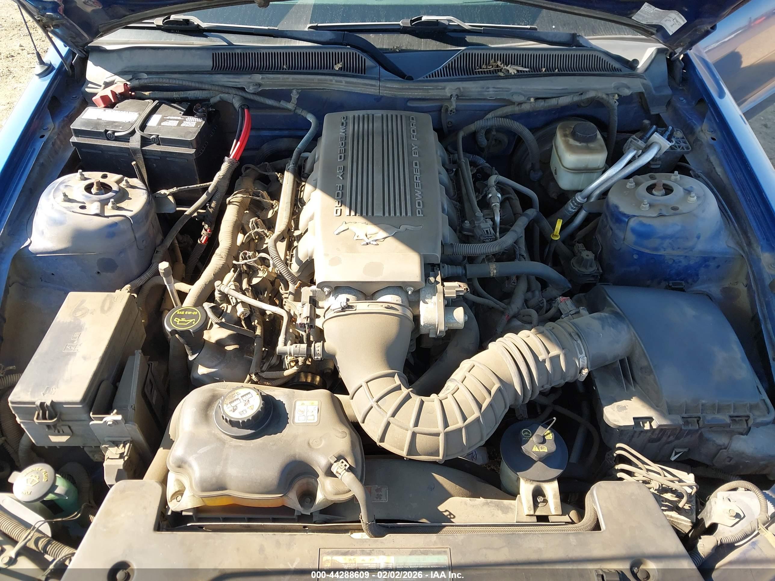 FORD MUSTANG image 10