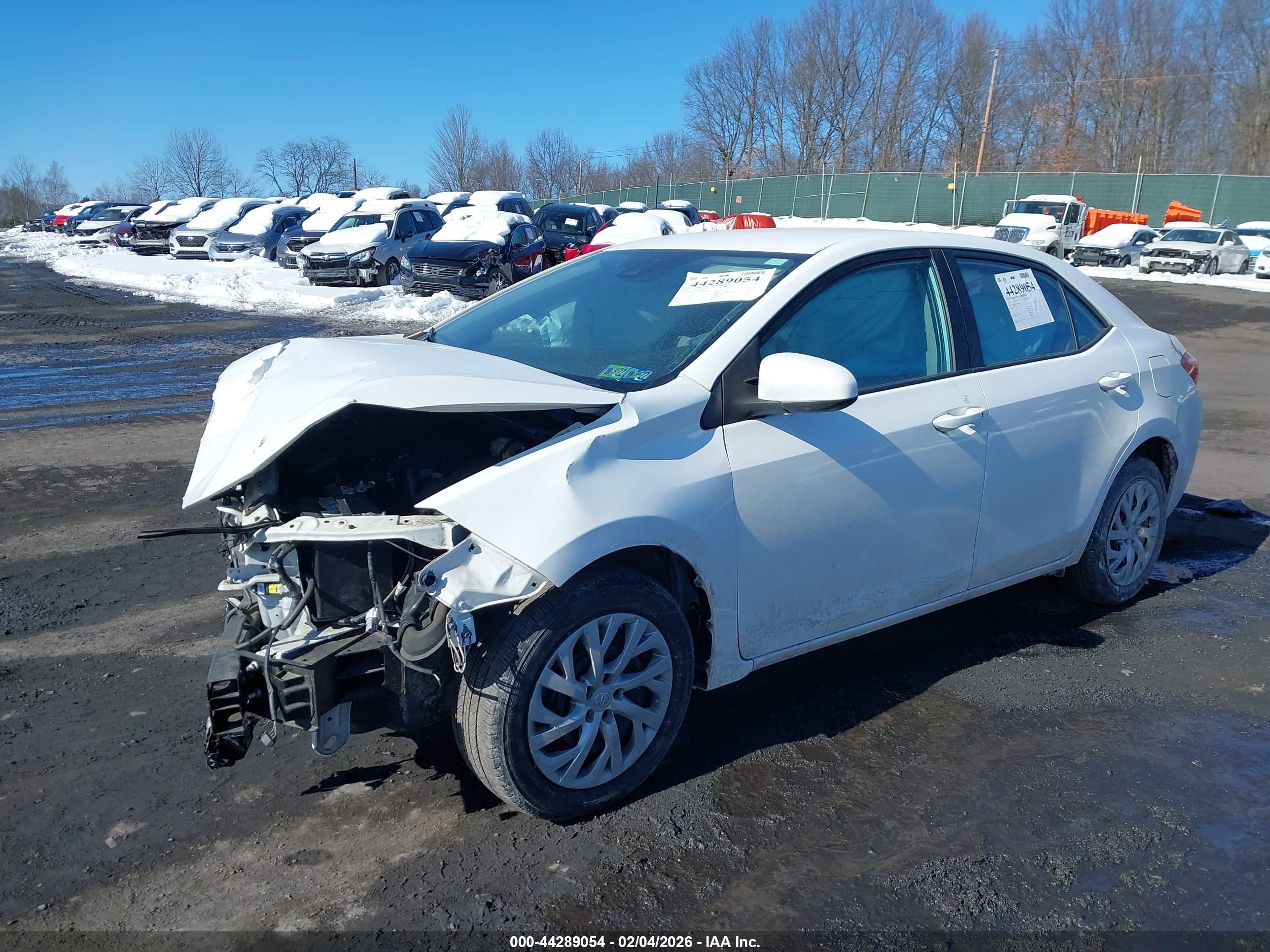 TOYOTA COROLLA image 2