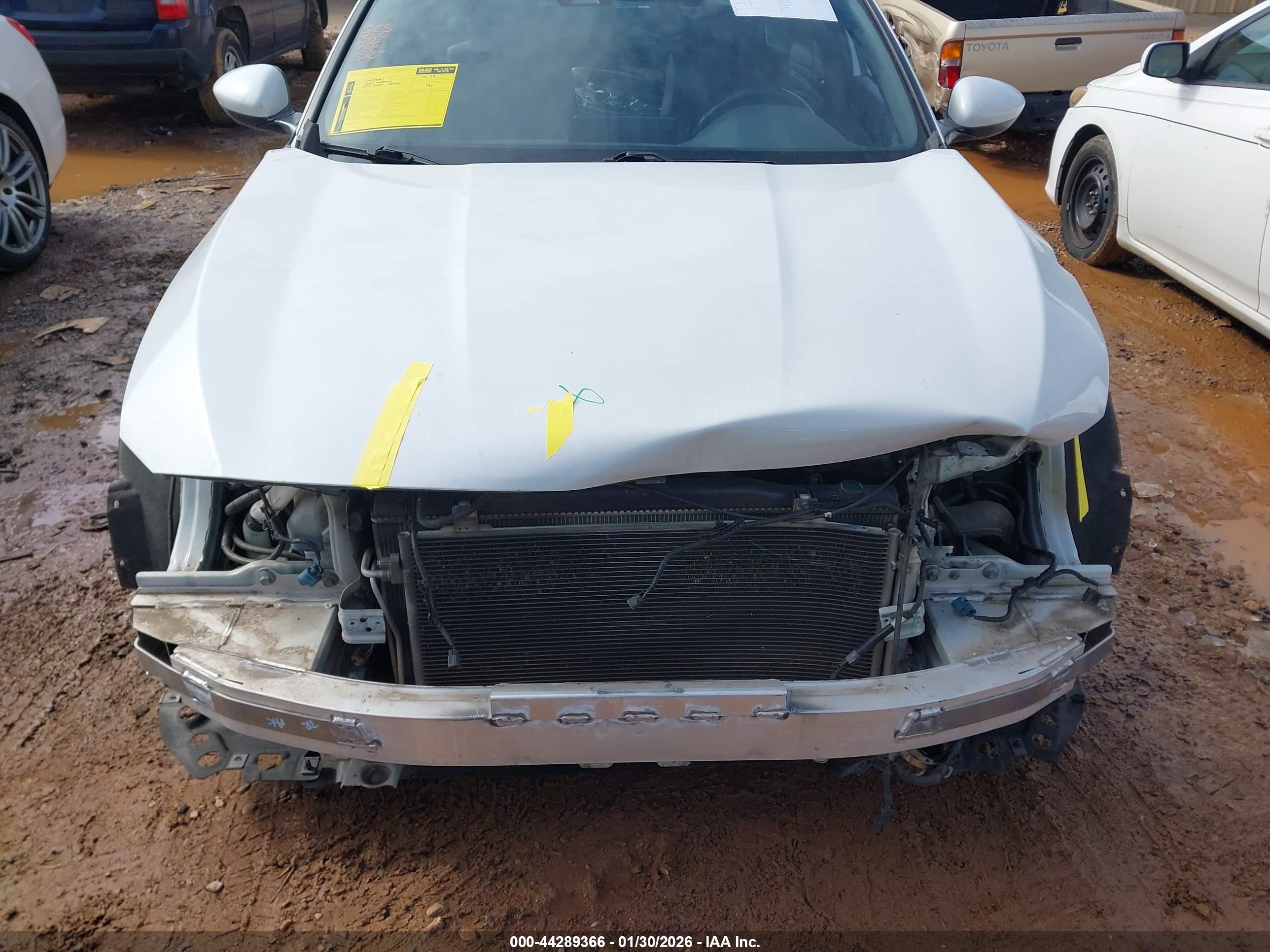 HONDA ACCORD image 6