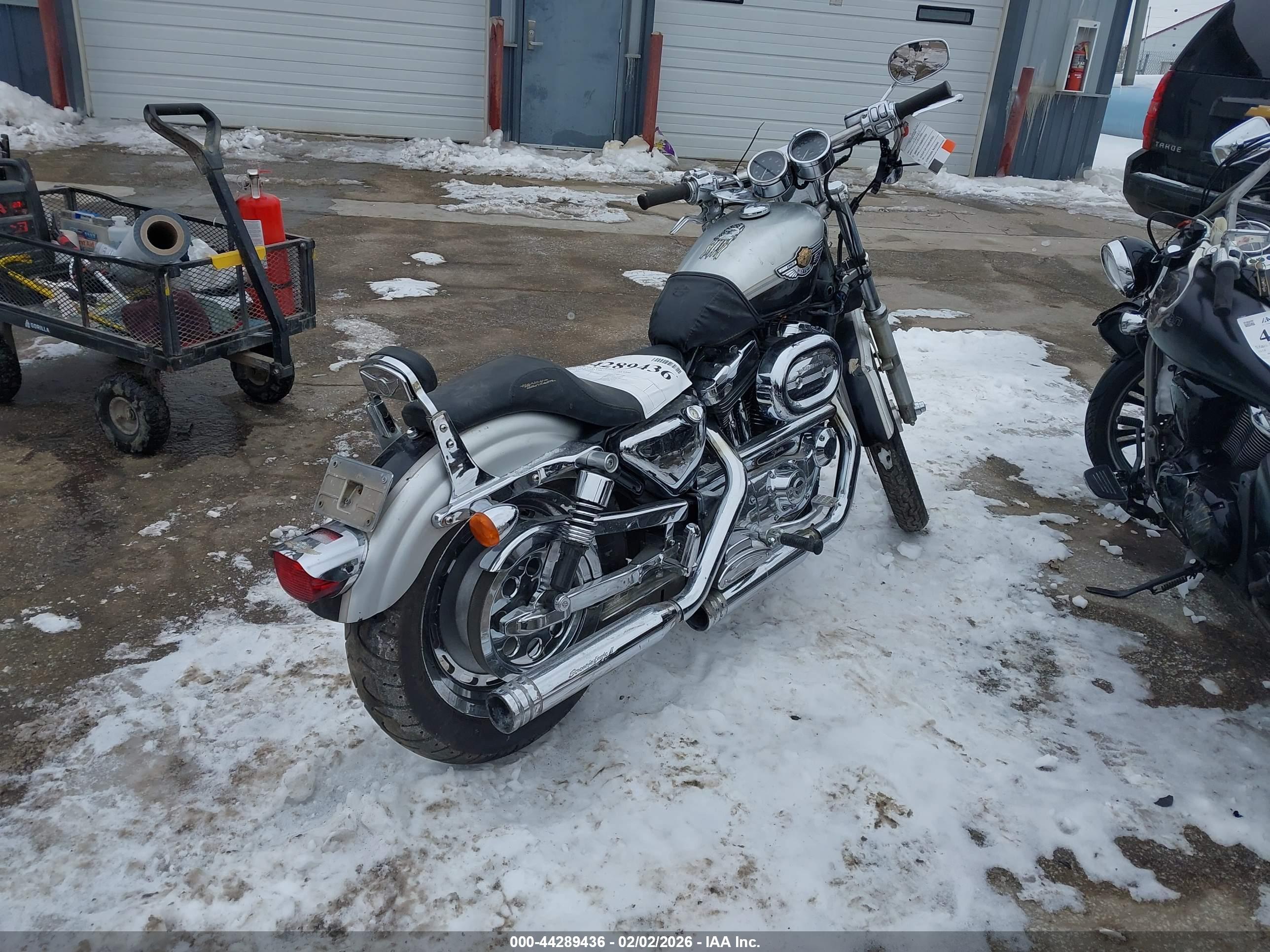 HARLEY-DAVIDSON XL1200 image 4