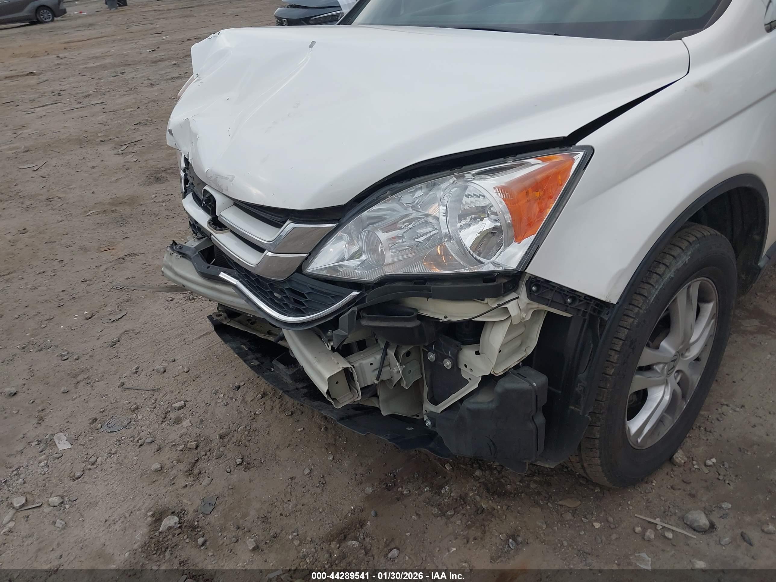 HONDA CR-V image 6
