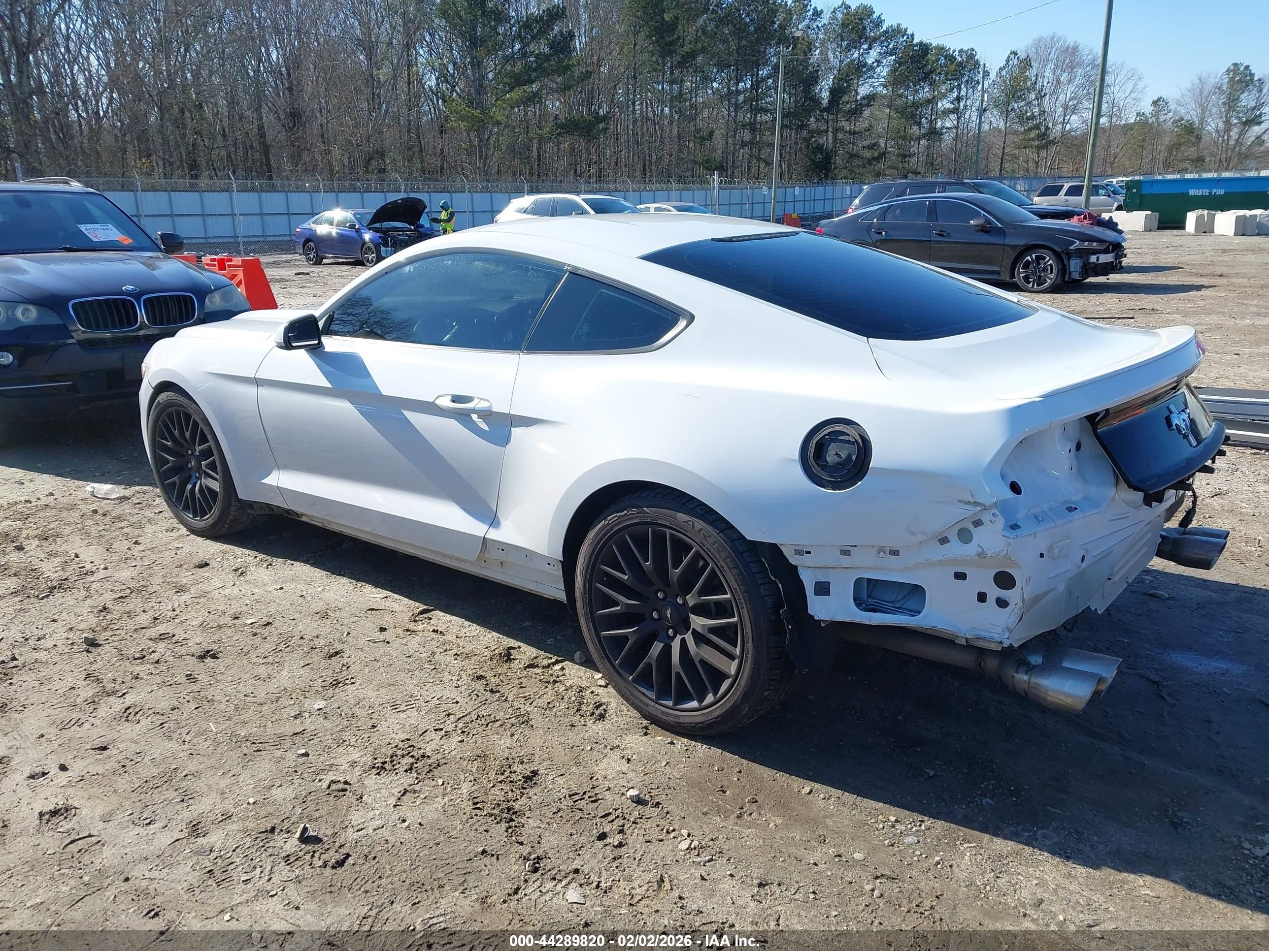 FORD MUSTANG image 3