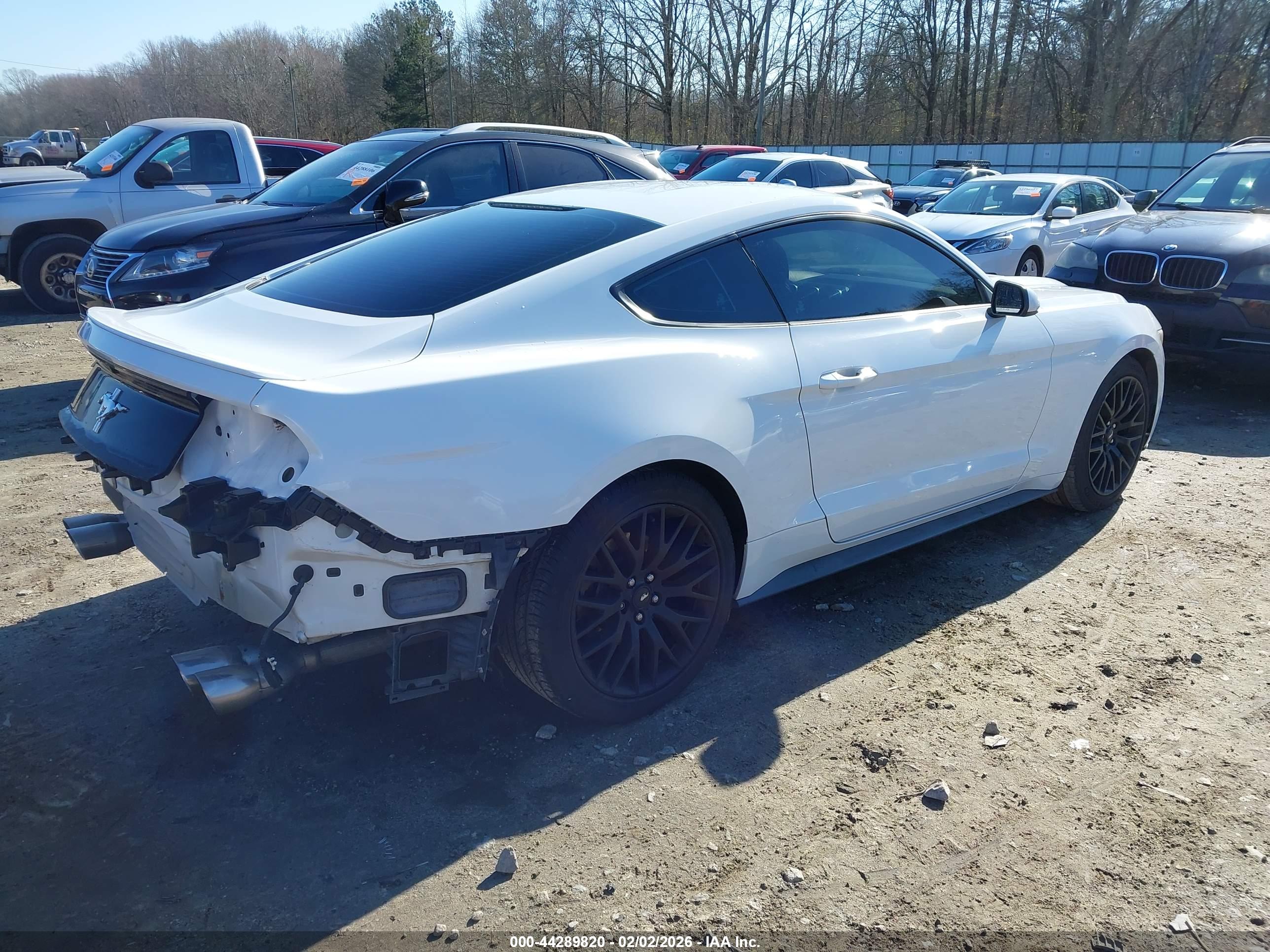 FORD MUSTANG image 4