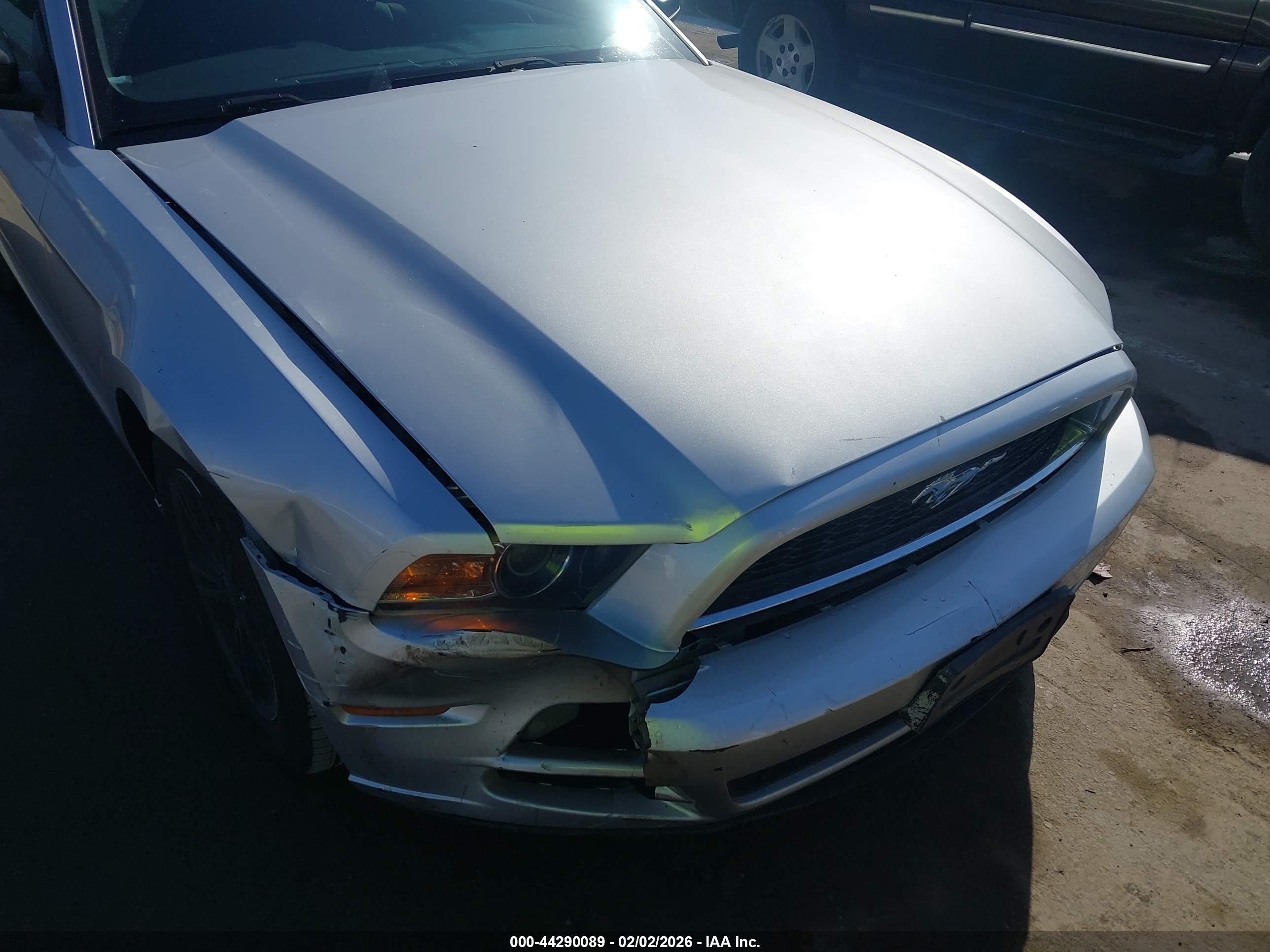FORD MUSTANG image 6