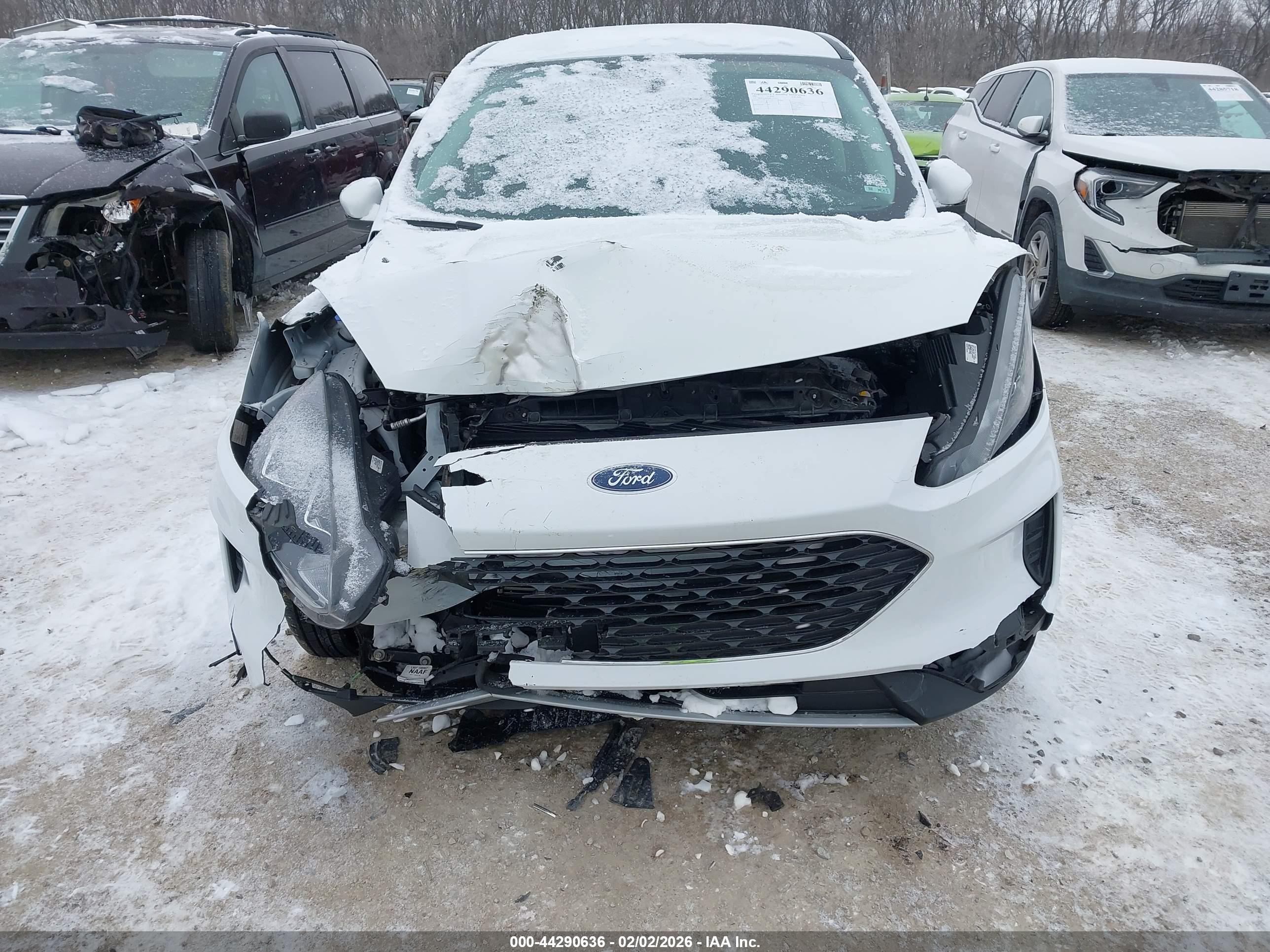 FORD ESCAPE image 6