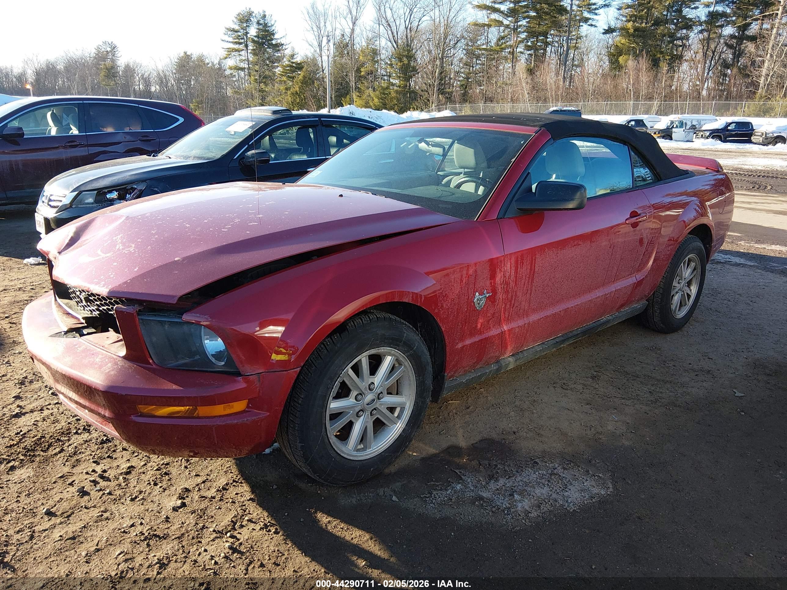 FORD MUSTANG image 2