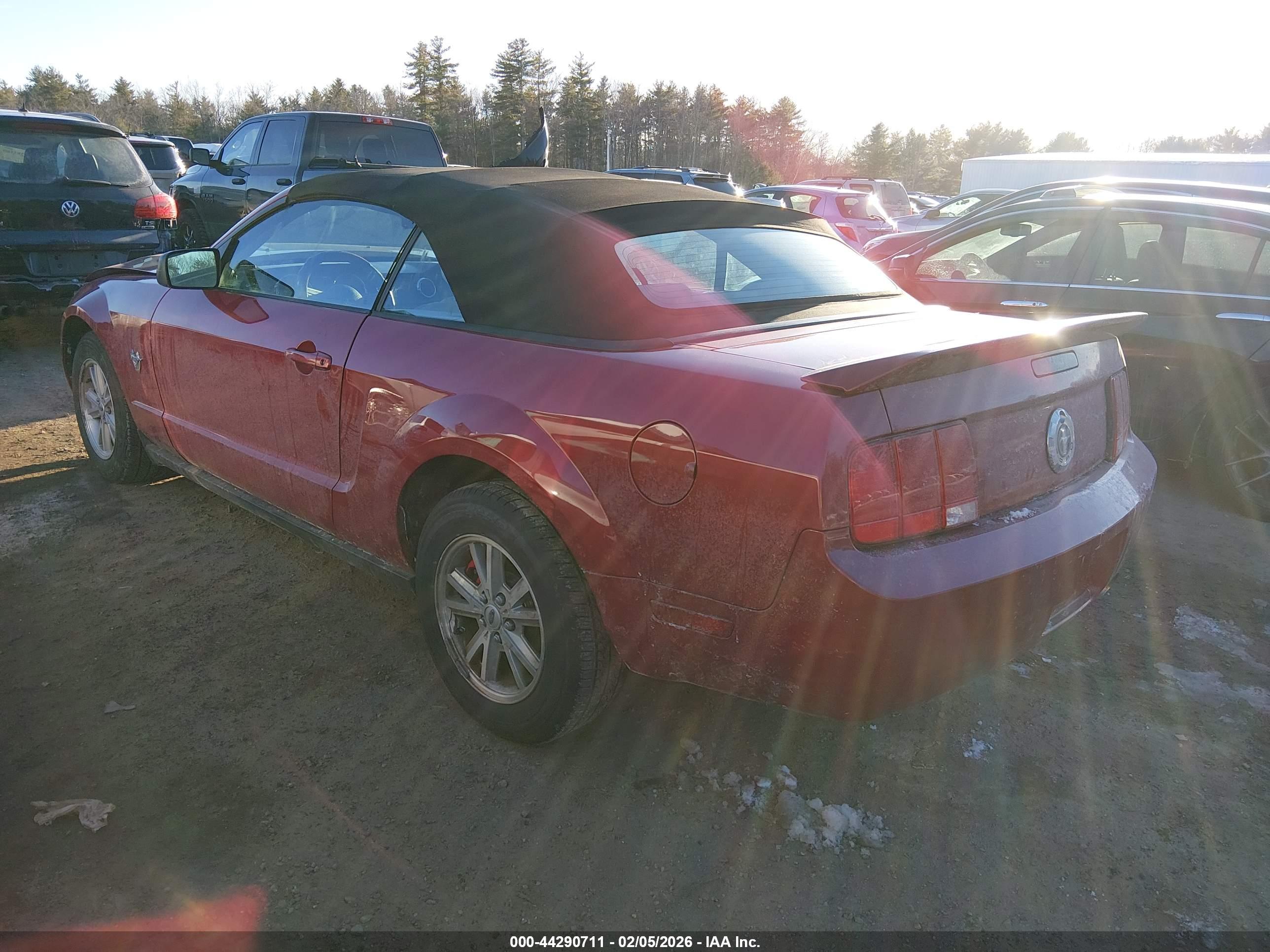 FORD MUSTANG image 3