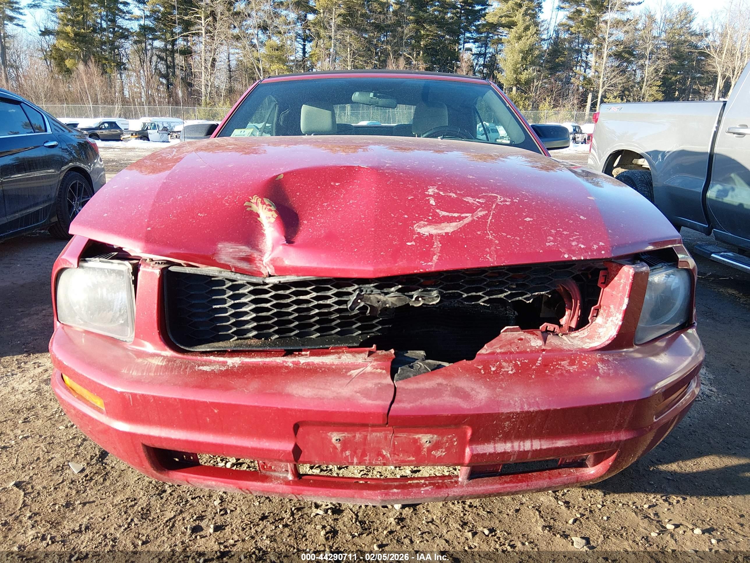 FORD MUSTANG image 6