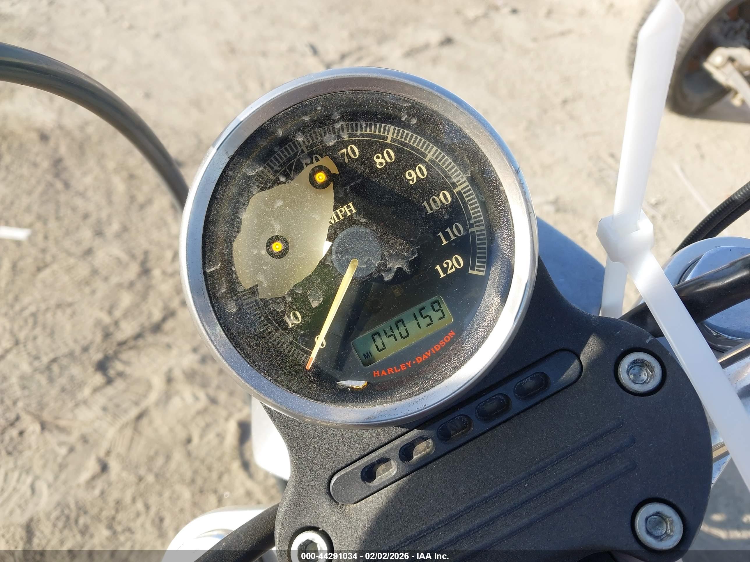 HARLEY-DAVIDSON XL883 image 7