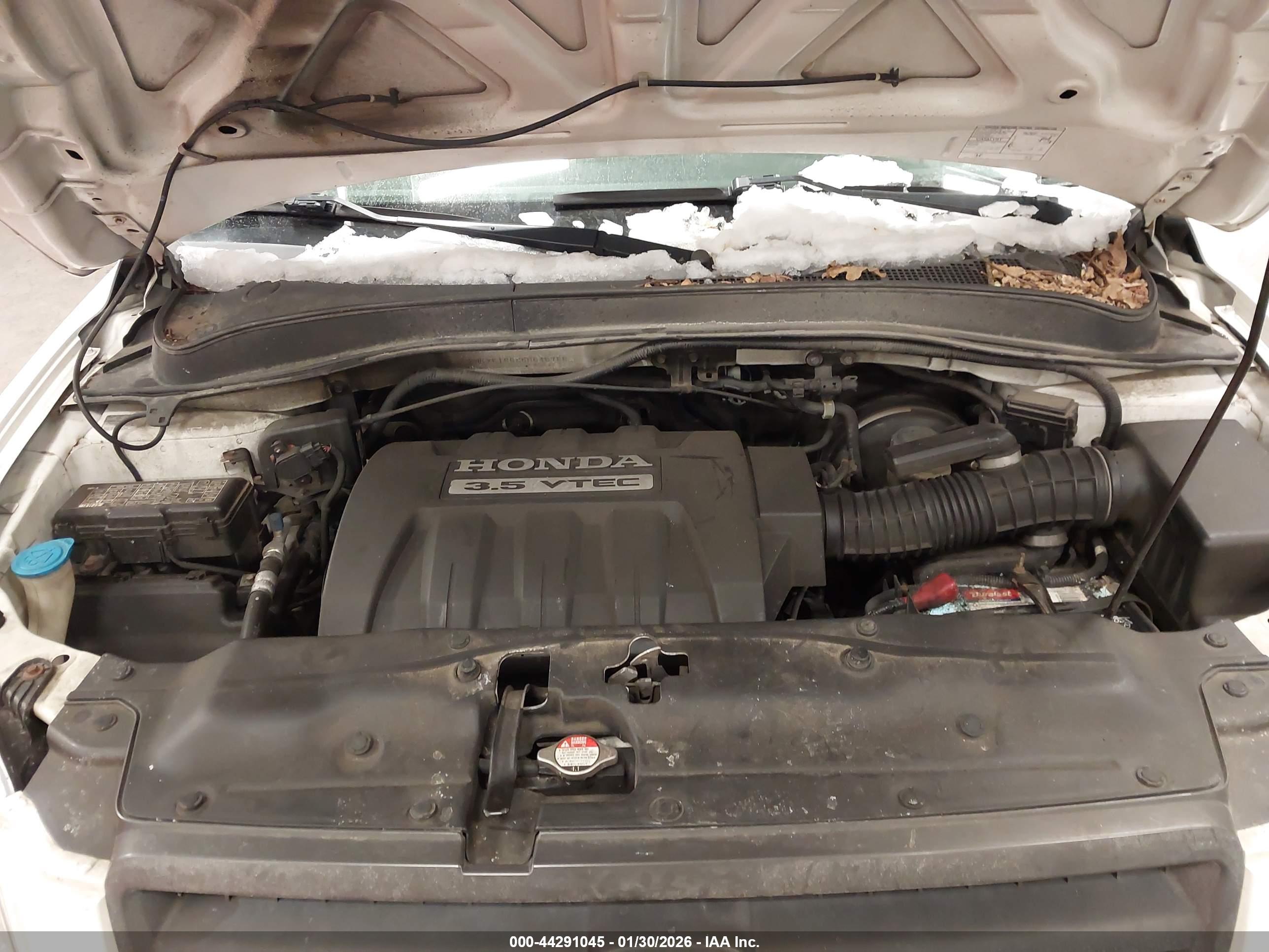 HONDA PILOT image 10