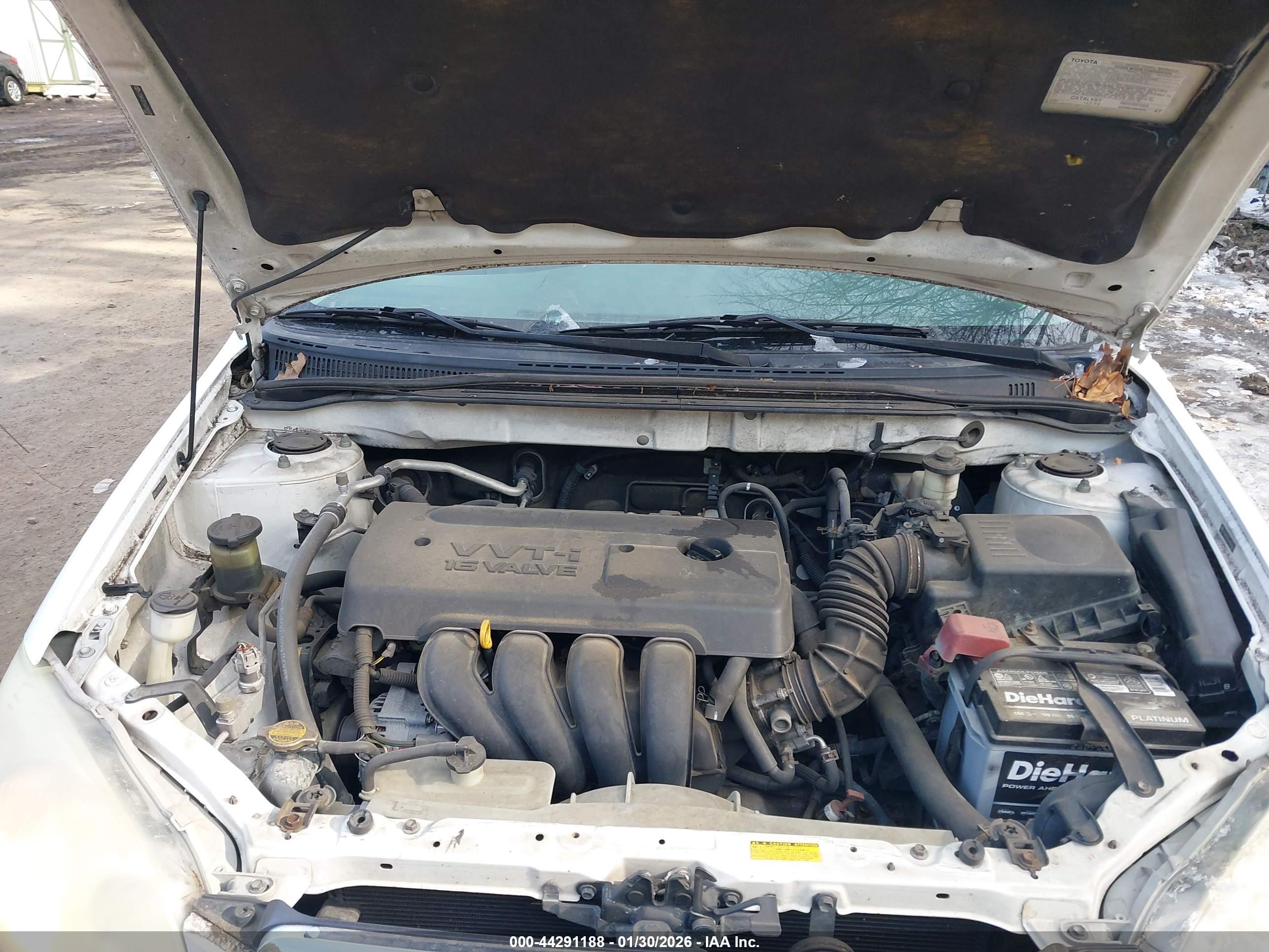 TOYOTA COROLLA image 10