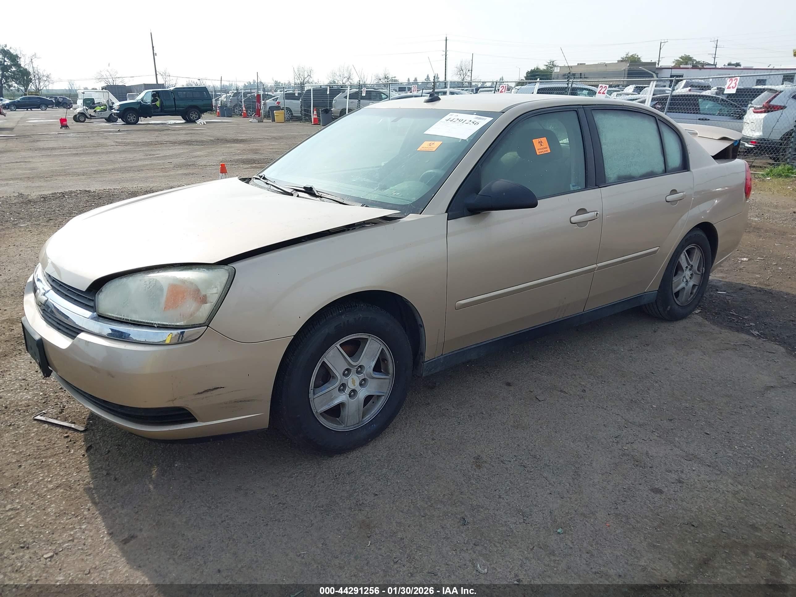 CHEVROLET MALIBU image 2