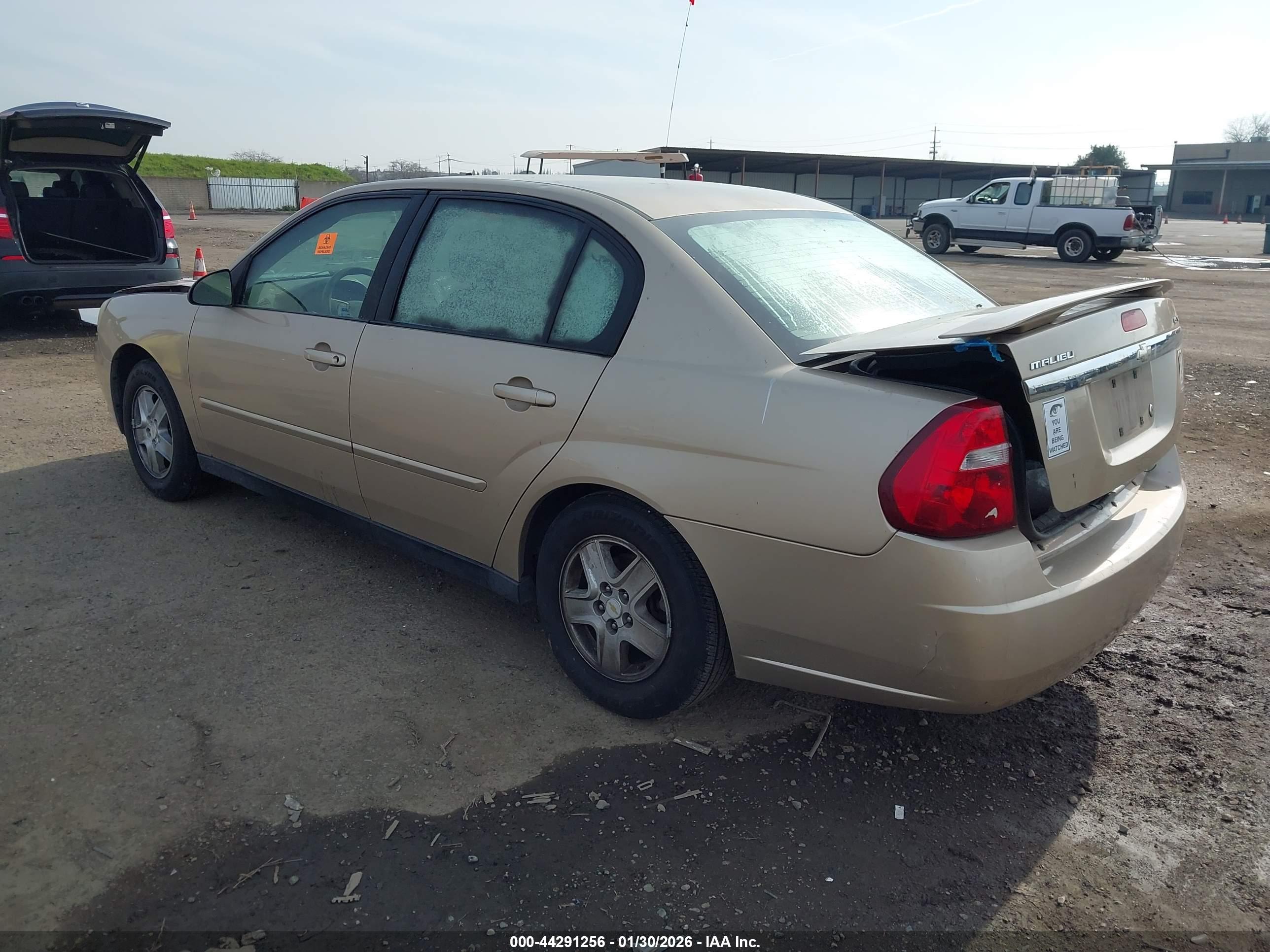 CHEVROLET MALIBU image 3