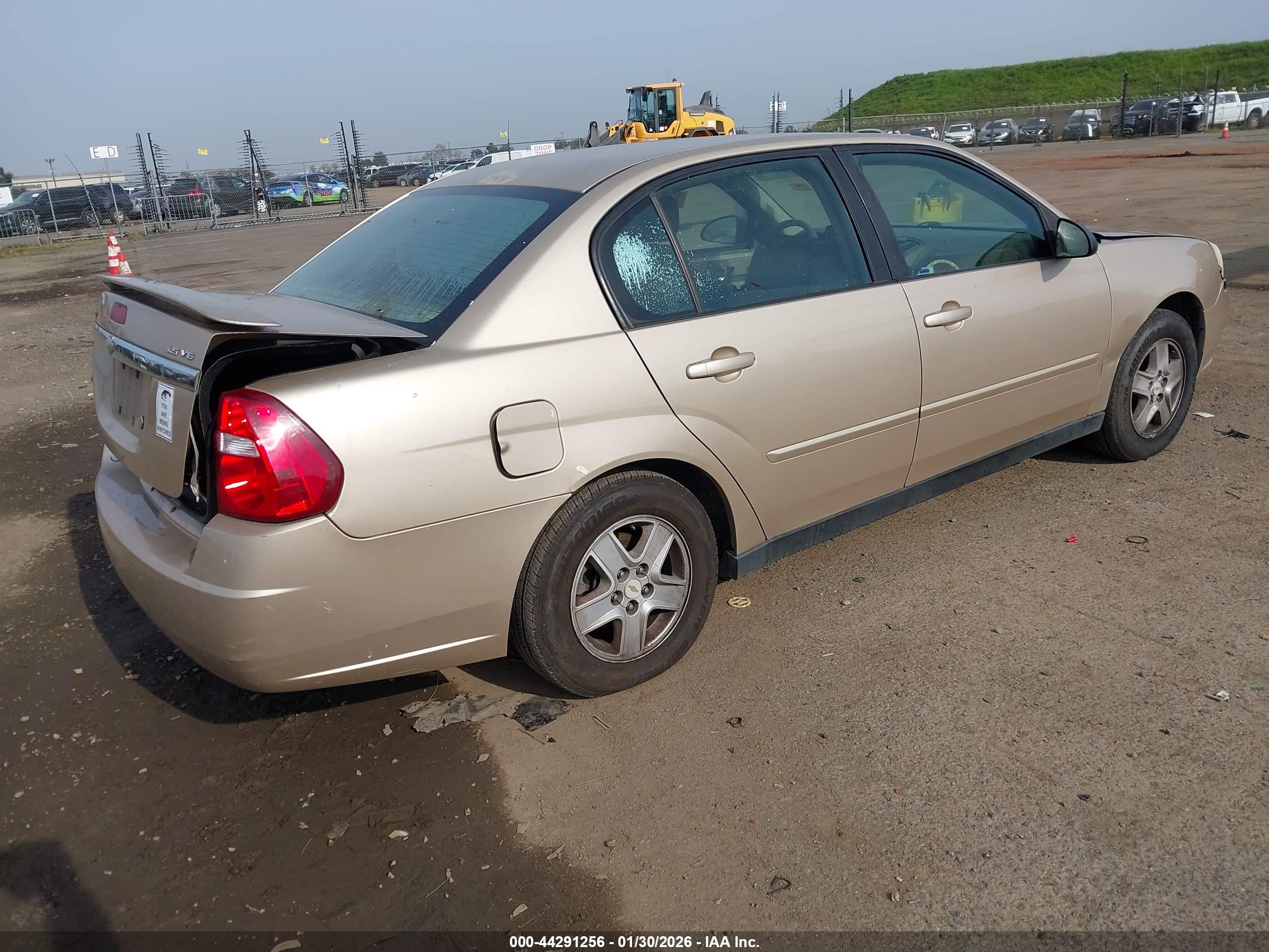 CHEVROLET MALIBU image 4