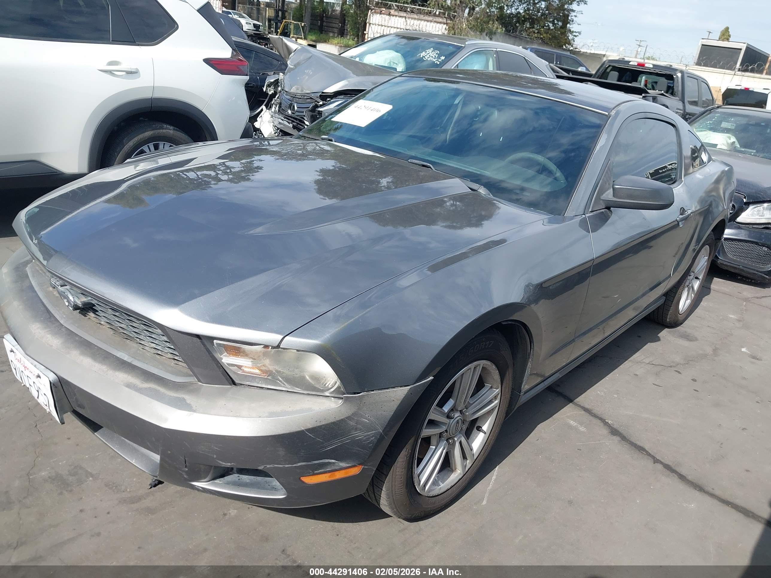FORD MUSTANG image 2