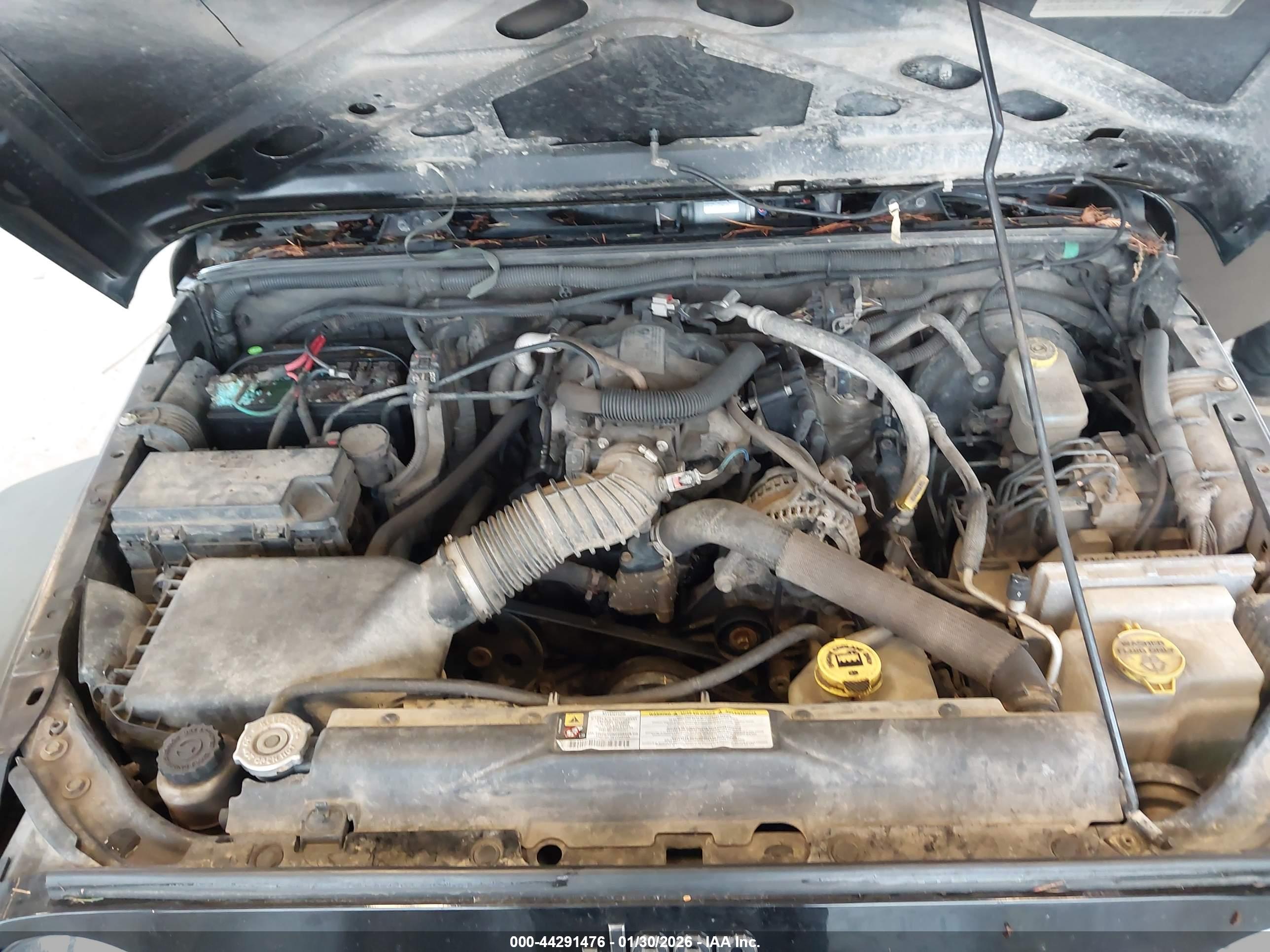 JEEP WRANGLER image 10