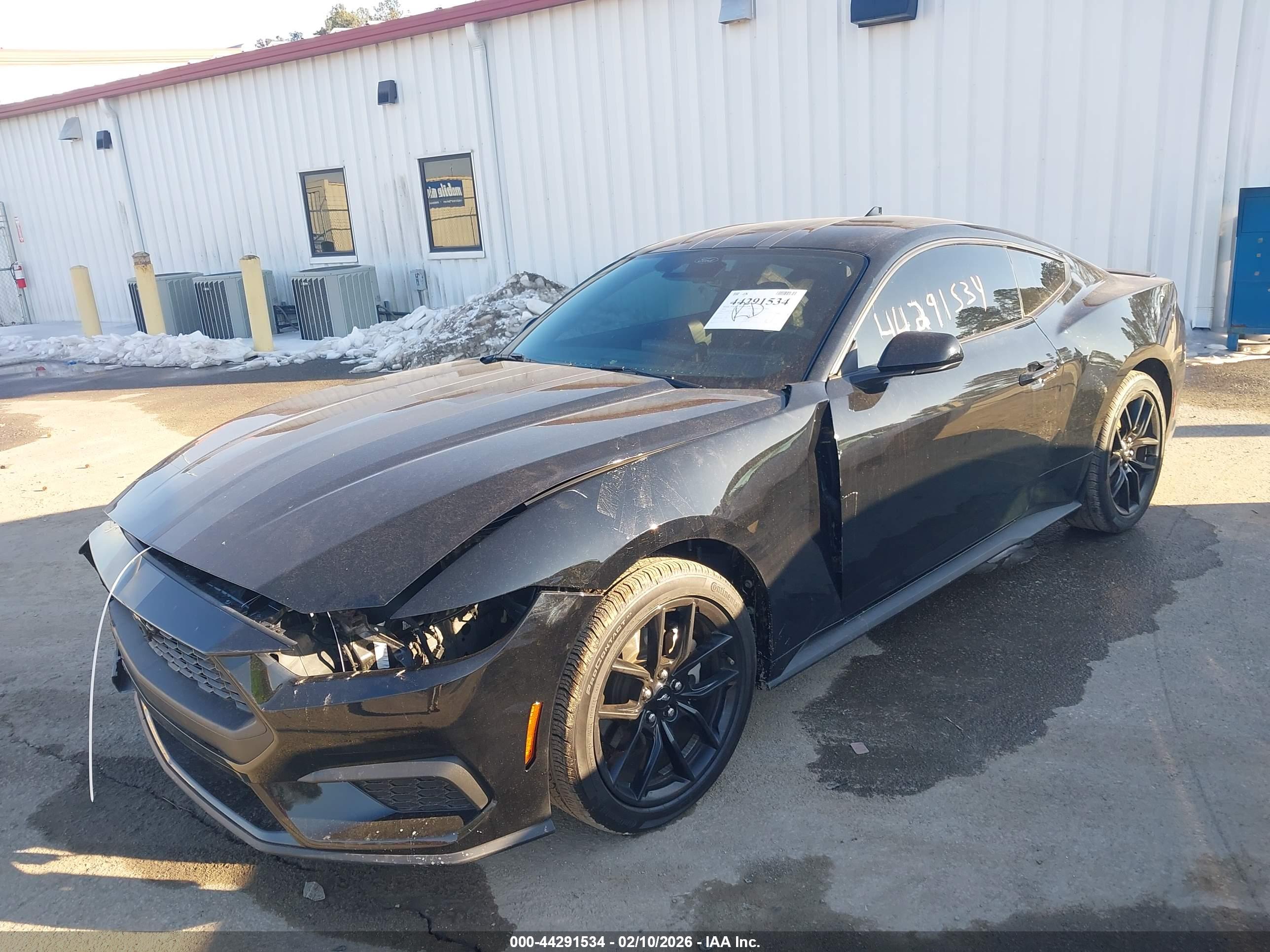 FORD MUSTANG image 2
