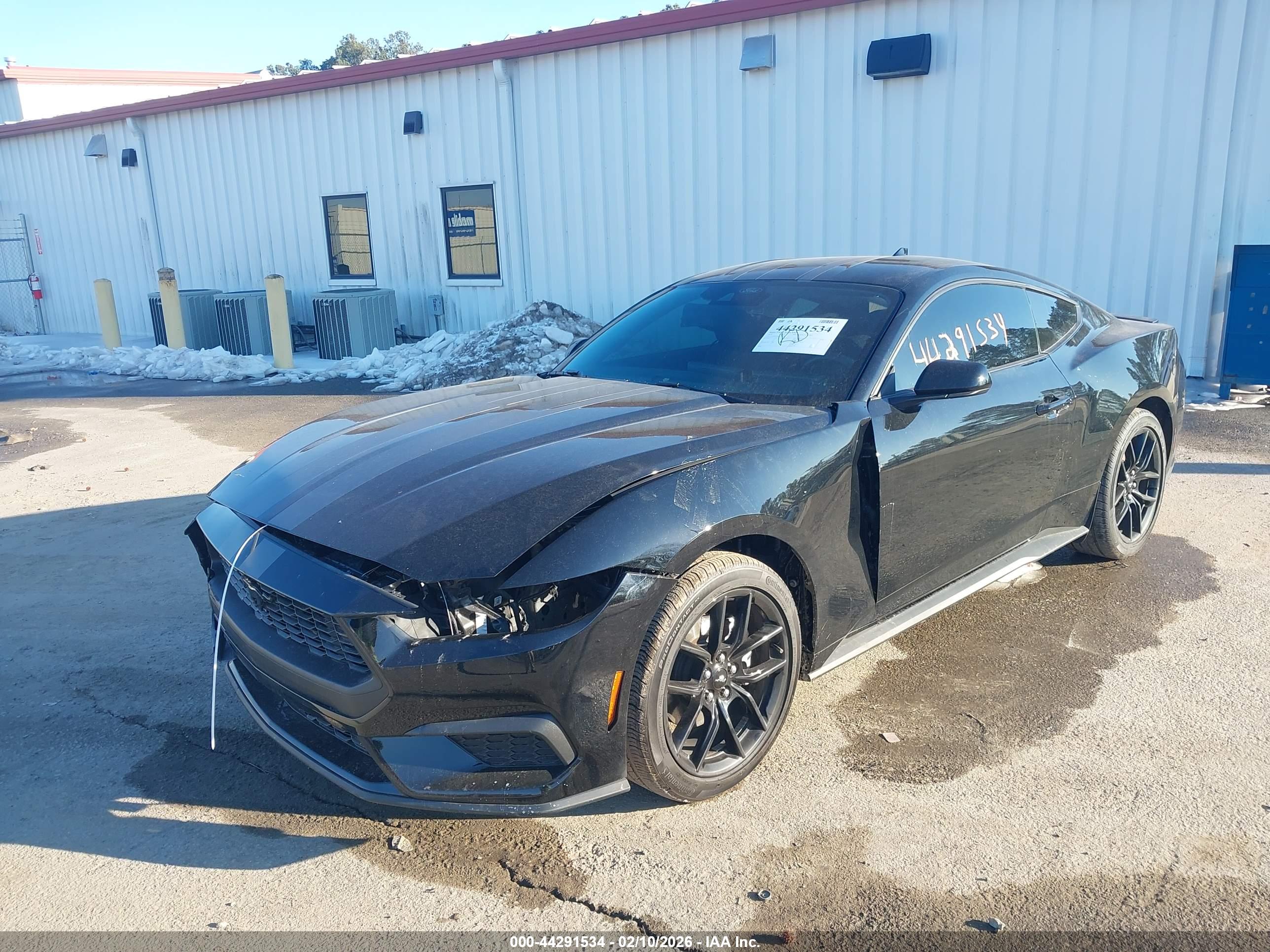 FORD MUSTANG image 6