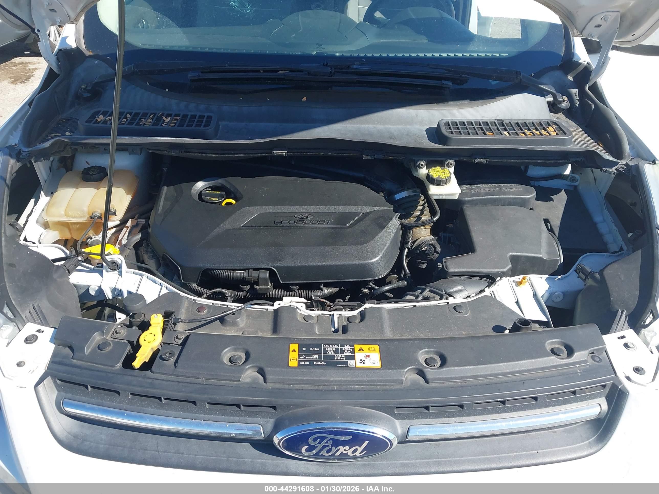 FORD ESCAPE image 10