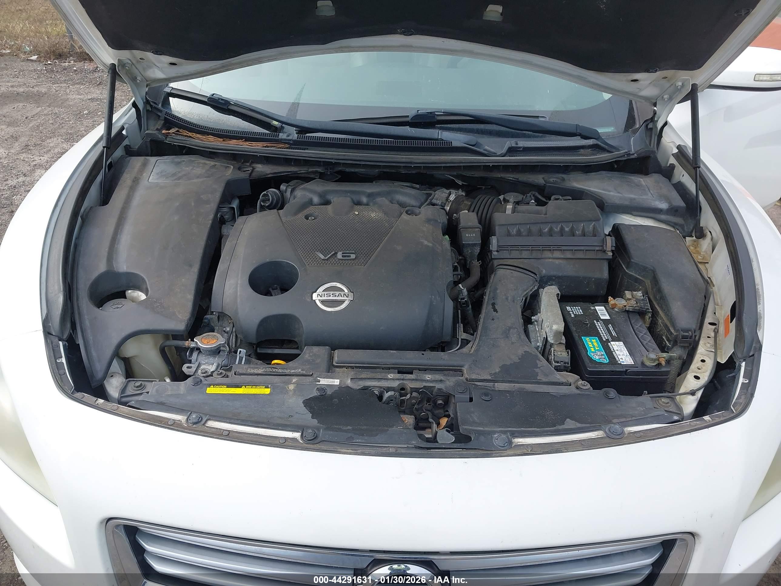 NISSAN MAXIMA image 10